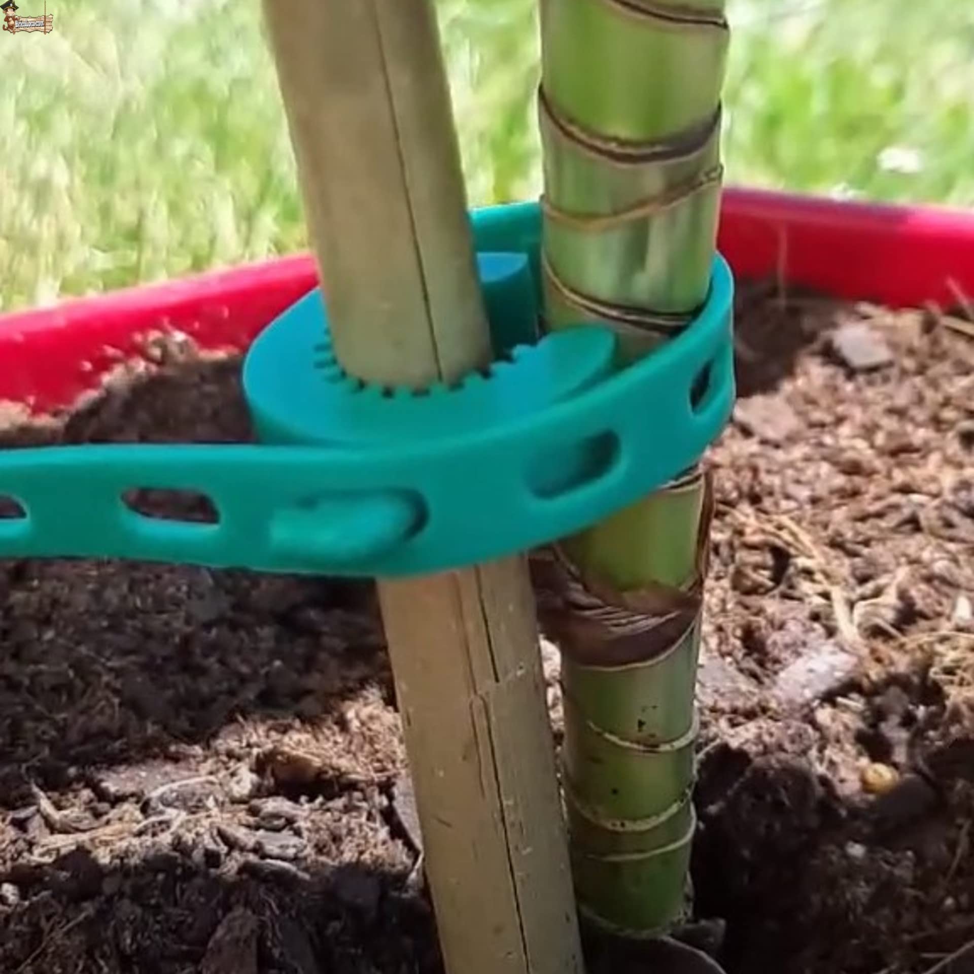 BricoLoco.com Flangia elastica intornata Piante e Tagli. Regolabile e Riutilizzabile. Clip per unire il Tallo al Sistema Tutore, guidato, Atato. (50, lunghezza 17,5 cm)