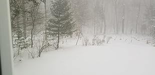 Review Image by Marty Marty