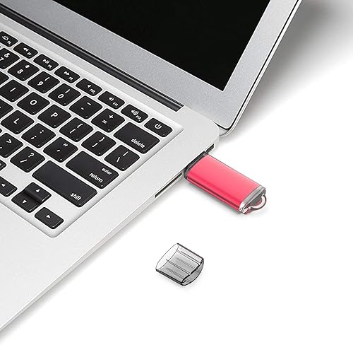 Miniatura 7 de Pen drive, memoria flash USB 2.0, paquete de 10 unidades., Rojo 4g