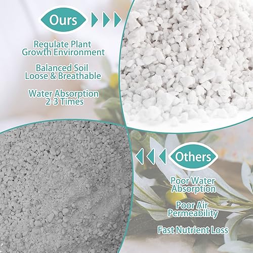 Miniatura 41 de Legigo 6 cuartos de galón de perlita hortícola orgánica para plantas de interior - Acondicionador natural para suelos hortícolas para mejorar