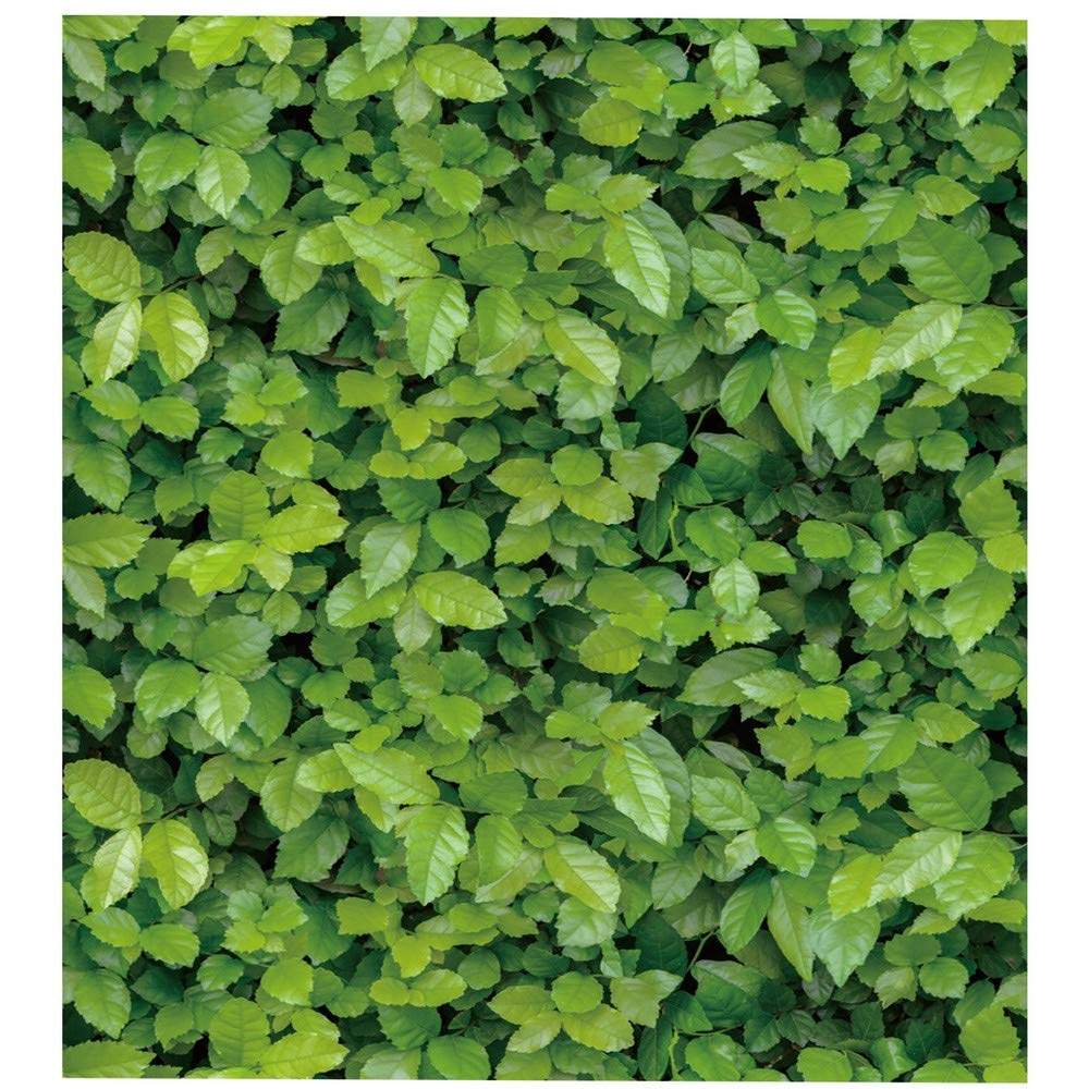 Univocean Modern Green Garden Leaves Wallpaper, 3D Wall Poster, Wall Sticker for Home, PVC Self Adhesive for Living Room, Hall, Garden Home Decoration Stickers (1000 x 45 cm) (B089FKJ88K) Amazon Price History, Amazon Price Tracker