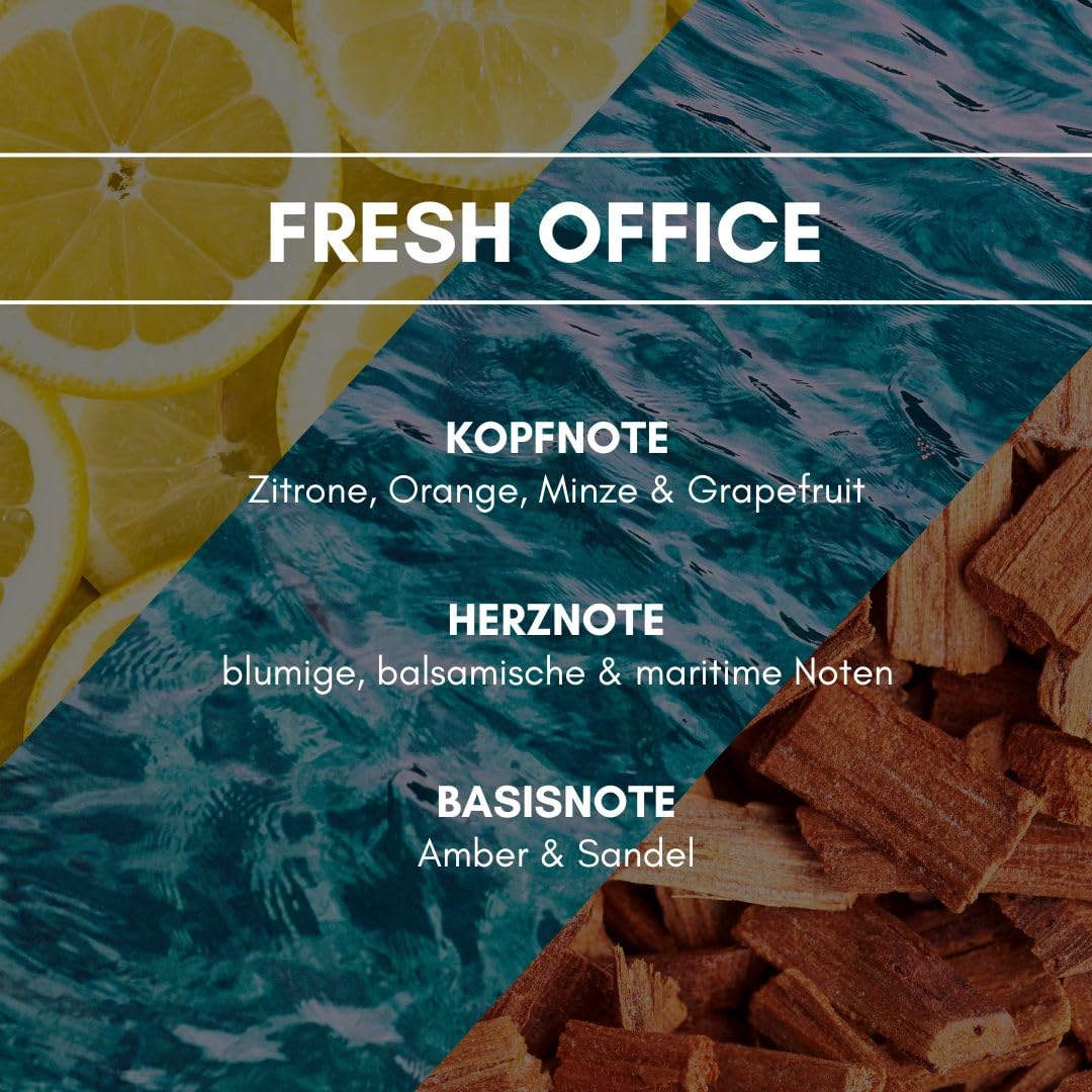 Duftspender Starter Set "Anti-Smoke" | incl. Raumsprays "Fresh Office" und "Clean Air" | Raumdüfte von REIMA | mit Geruchsabsorber | Farbe: Business