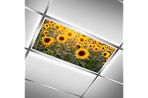 Drop Ceiling Light Covering Insert 4' x 2' (Blooming Sunflowers Field Sunset Sight)