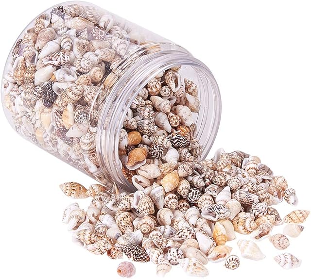 PandaHall 200g 2 Styles Tiny Sea Shell Ocean Beach Spiral Seashells Craft Charms for Candle Making Home Decoration Beach Theme Party Wedding Decor Fish Tank and Vase Filler(1mm/1.2mm Hole)