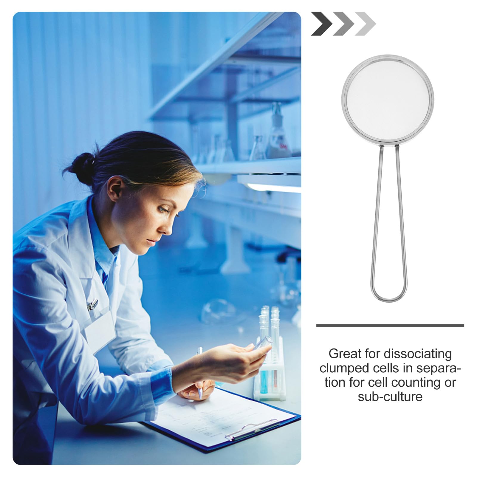 Filtre à Cellules 200 Mesh Tamis Laboratoire Inox Conique pour Tamisage Fin et Séparation Cellulaire Lors d'Expériences en Laboratoire Biologique
