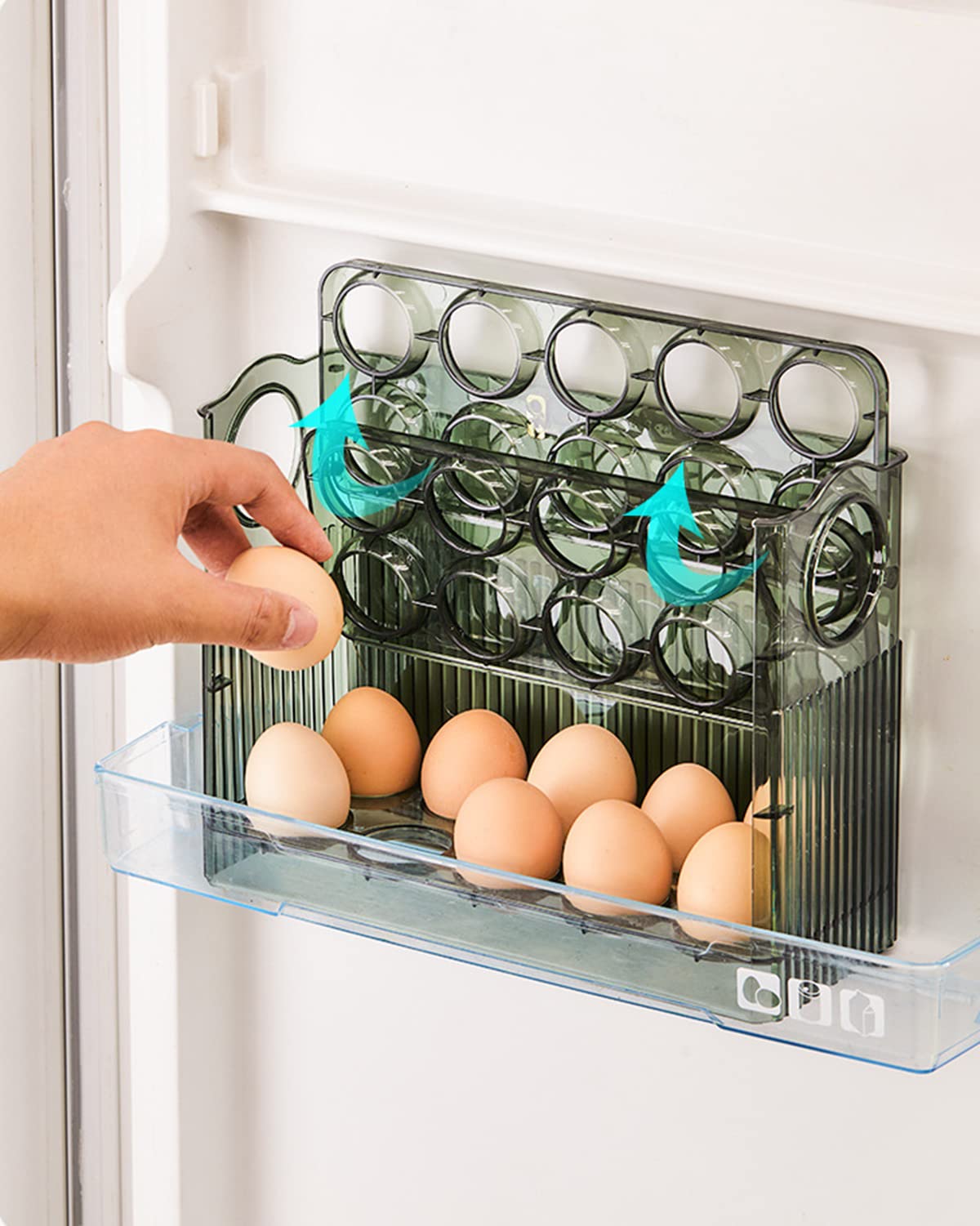 ROYAL POLAR Large Capacity Egg Holder Egg Fresh Storage Box Egg Storage Container Organizer Bin 30 Grid Refrigerator Organizer Bins (Green)