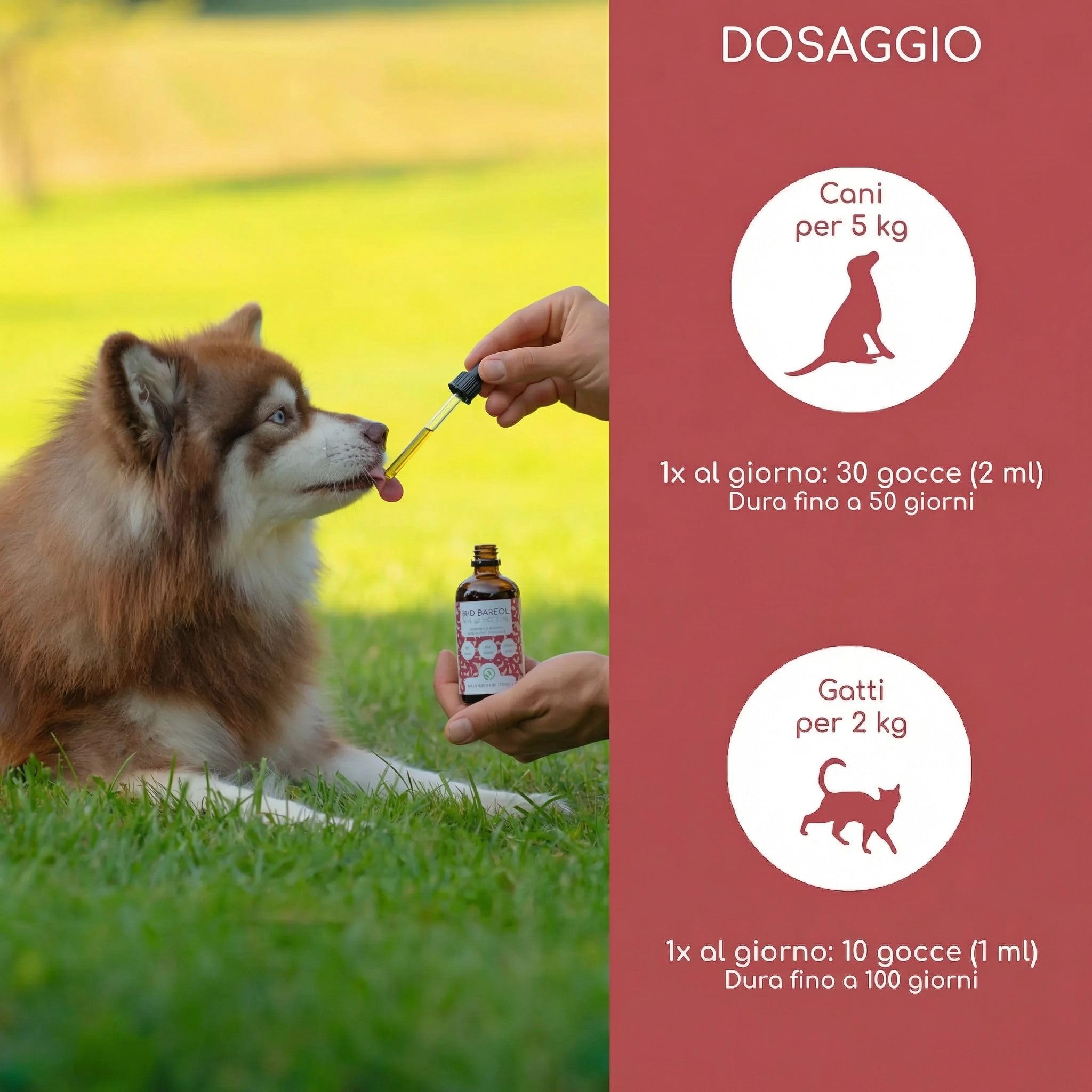Olio alimentare per cani 1 litro – 100% Olio BARF biologico - Naturale e vegano - Con olio di lino, enotera, oliva, semi di zucca, chia - Con Omega 3-6-9, DE-ÖKO-060