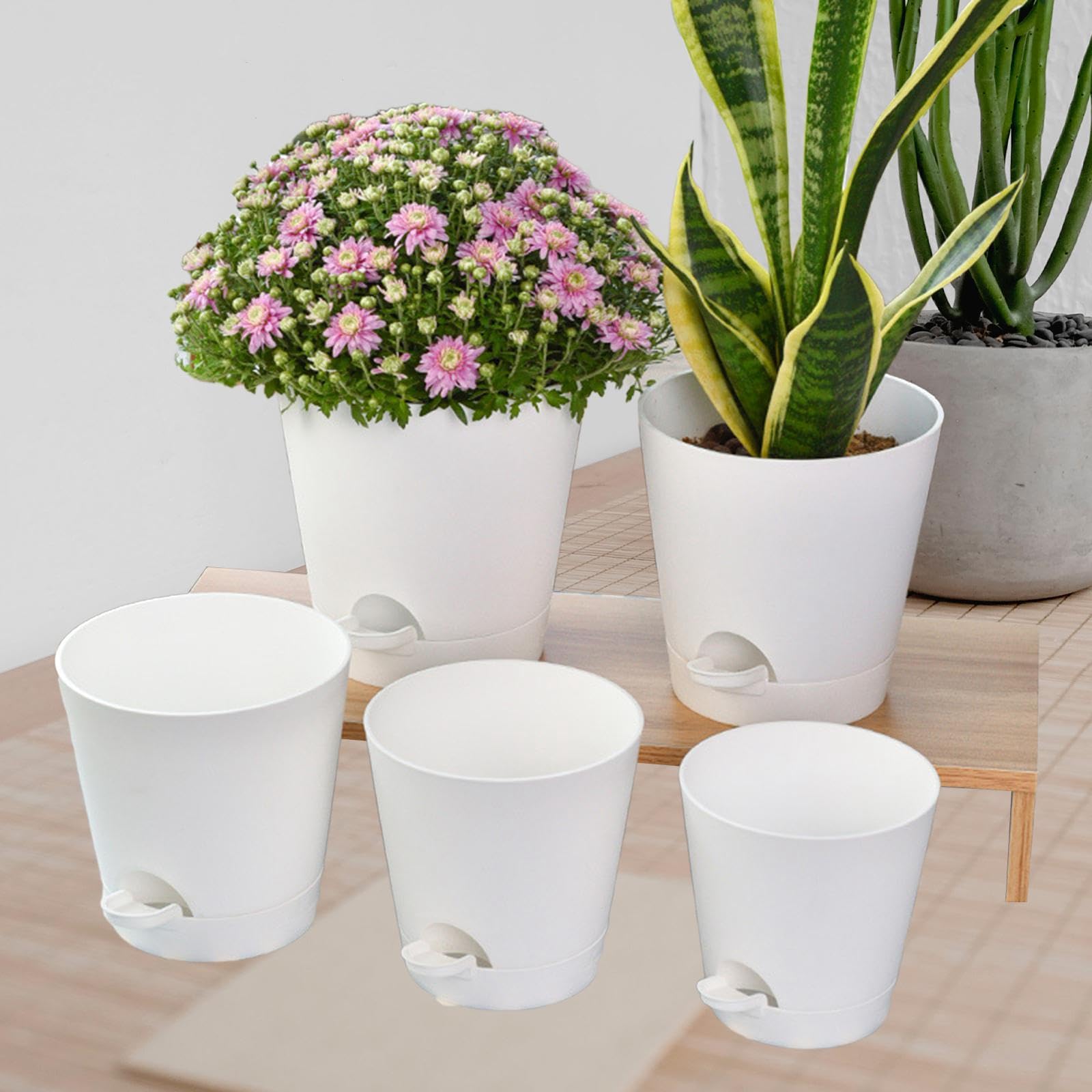 ★セルフウォータープラントポット プラスチック植木鉢 ハウスプランター 5個 Amazon.co.jp: QLoztyse セルフウォータープラントポット - 屋内用