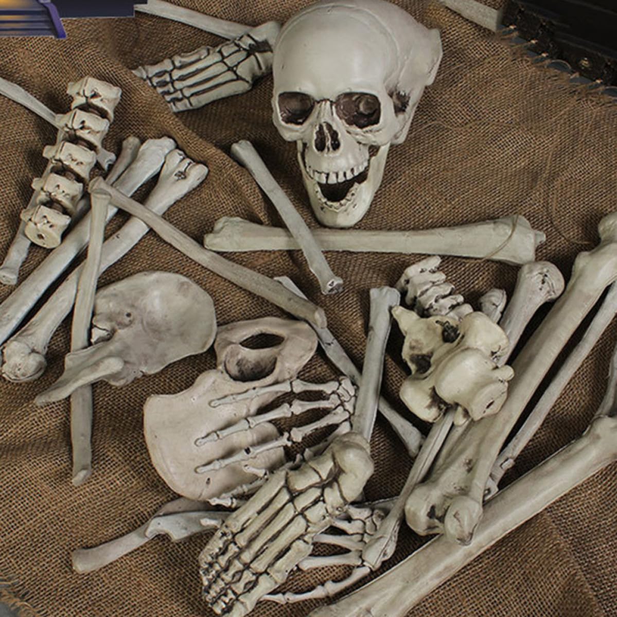 Decorazione di Halloween Ossa Scheletro in Plastica Bianco Realistico per Decorazioni Casa e Festa di Halloween per Ambienti Esterni e Party