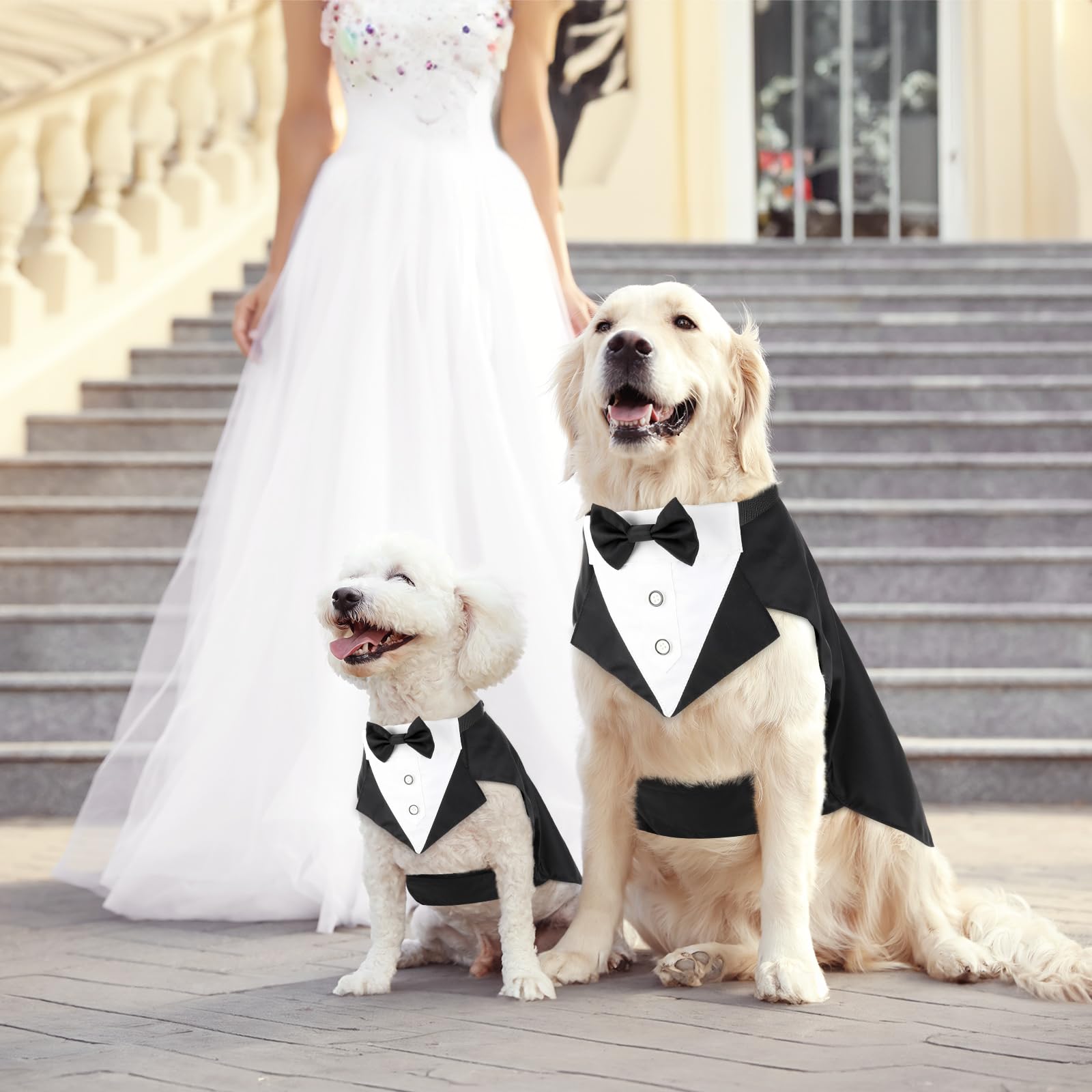 Illumifun Smokinganzug und Bandana-Set, eleganter Hunde-Hochzeitsparty-Anzug mit Fliege, Hemd, Weste, Haustier-Smoking-Kostüm mit abnehmbarem Fliegenkragen (2XL)