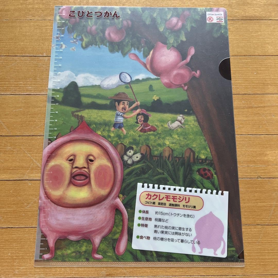 Amazon.co.jp: こびとづかんクリアファイル : おもちゃ