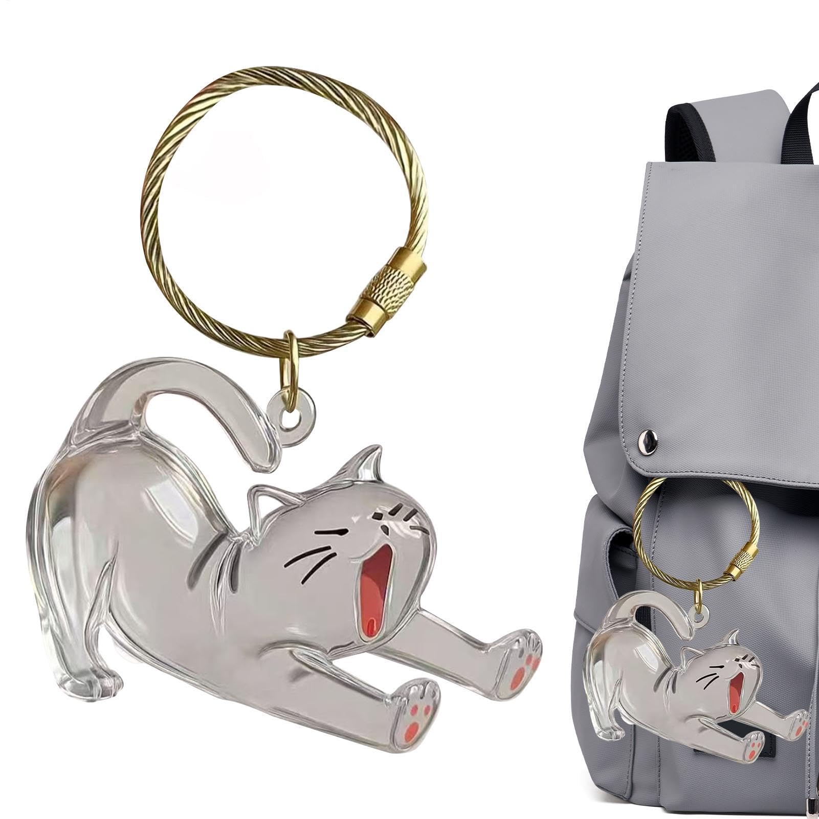 Erinnerungsbox für Hunde, aus transparentem Acryl, Schlüsselanhänger | Niedlicher Hunde-Schlüsselanhänger für Tasche, Geldbörse, Rucksack, Herren und Damen