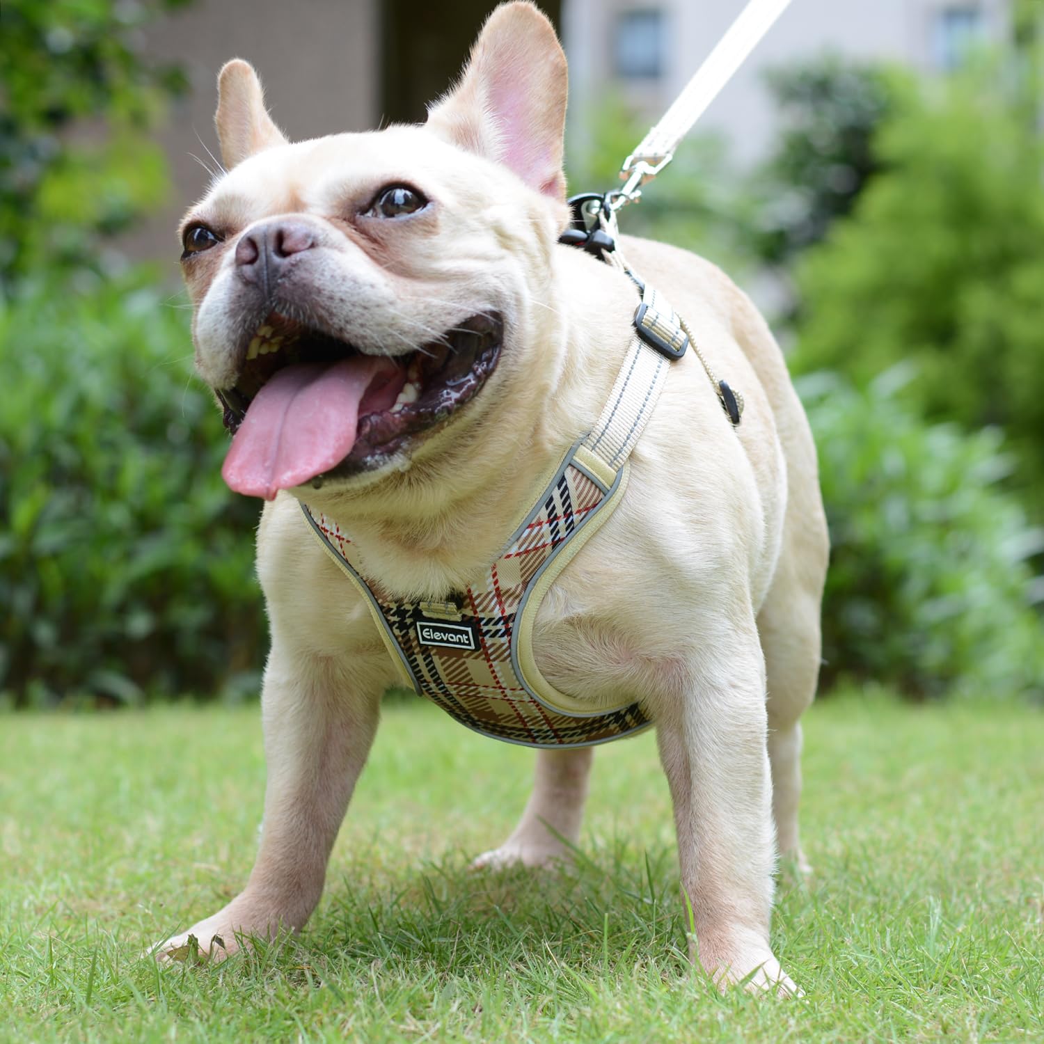 Elevant Harnais Chien Anti Traction Réglable, Step-in Harnais pour Chiens Réfléchissant Respirant Confort Doux Gilet Rembourré pour Petite, Moyenne et Grande Chiens (XS, Beige Marron)