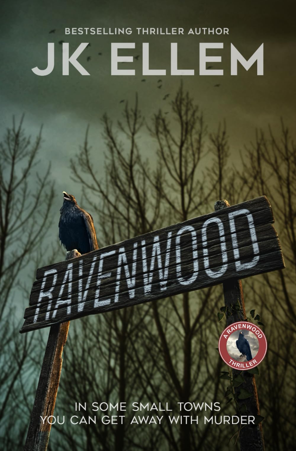 Ravenwood: A serial killer mystery and suspense crime thriller (The Ravenwood Domestic Thriller Series)