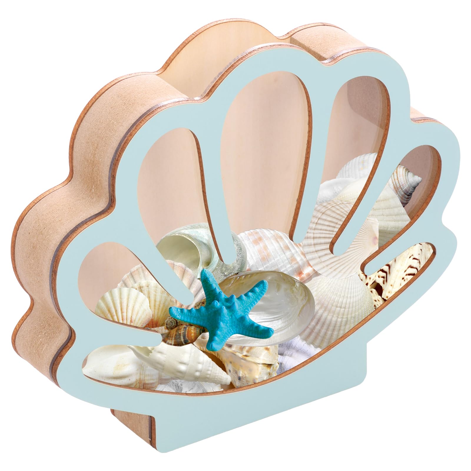 Wooden Seashell Display Case with Acrylic Panel Beach Gifts Sea Shell Storage Box Decorative Sea Shell Holder for Collectors Memory Keepsake Box