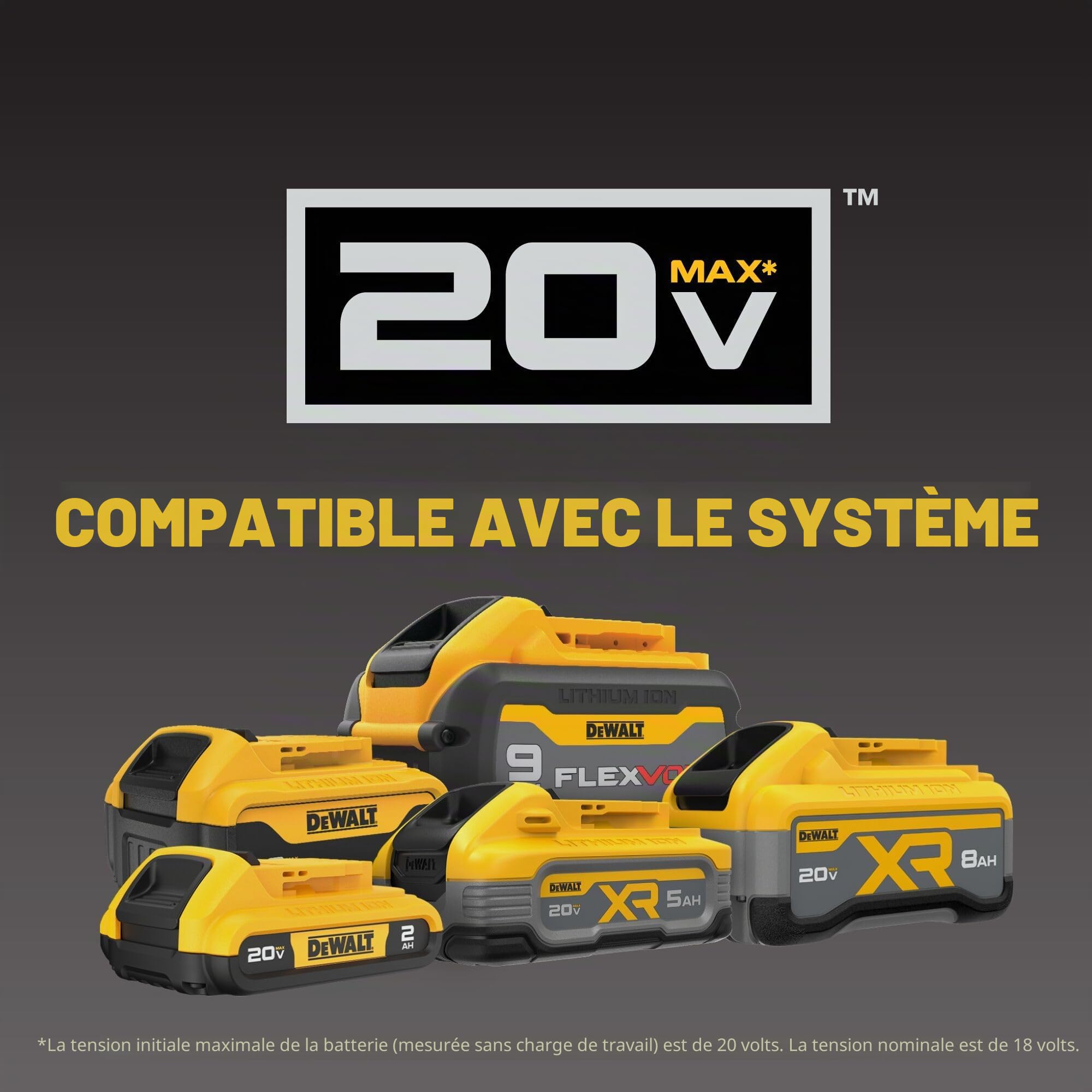 DEWALT Kit d'outils multifonctions oscillants XR 20 V MAX à vitesse variable (DCS356D1)