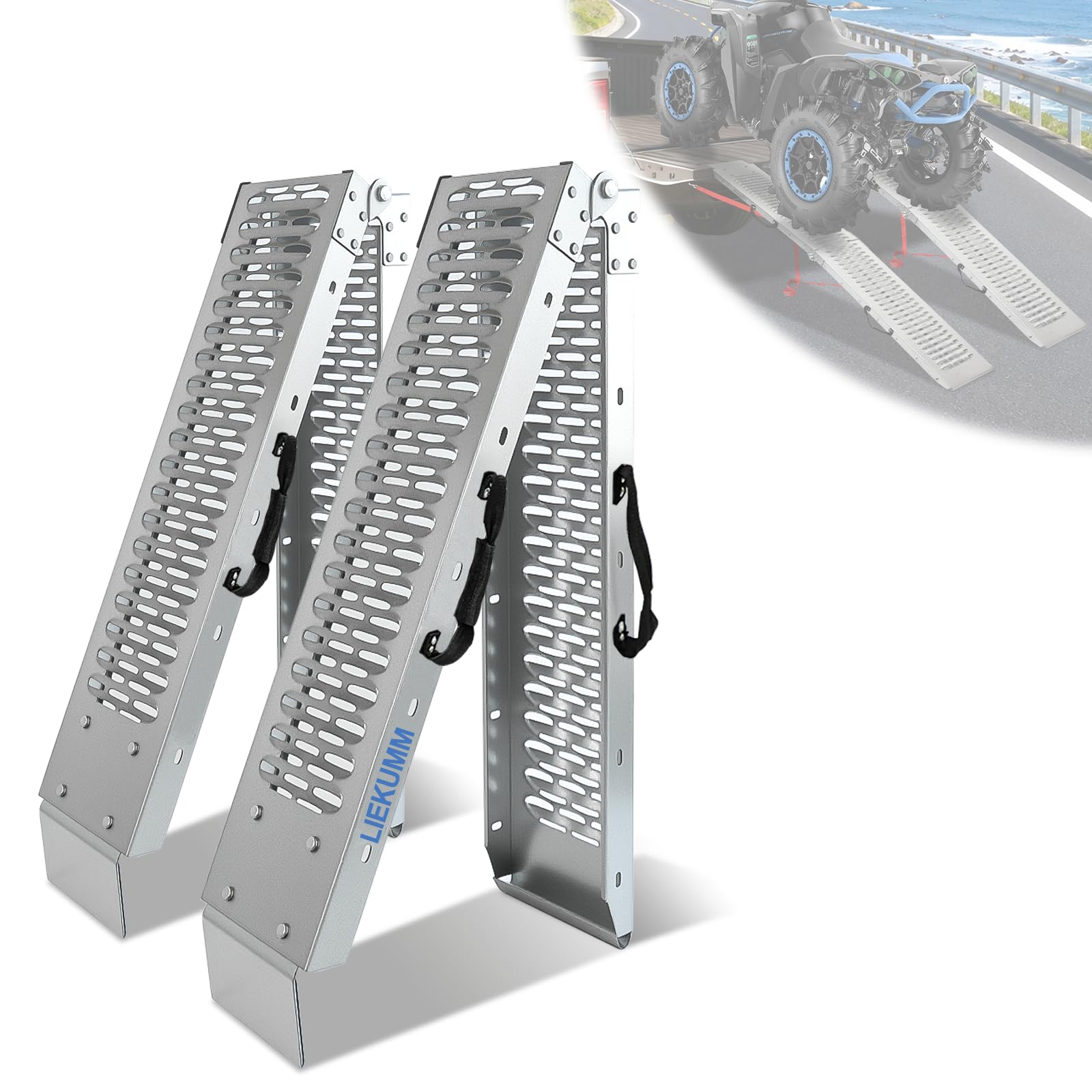 Amazon.co.jp: LIEKUMM ラダーレール 2本 長さ170cm 耐荷重454kg