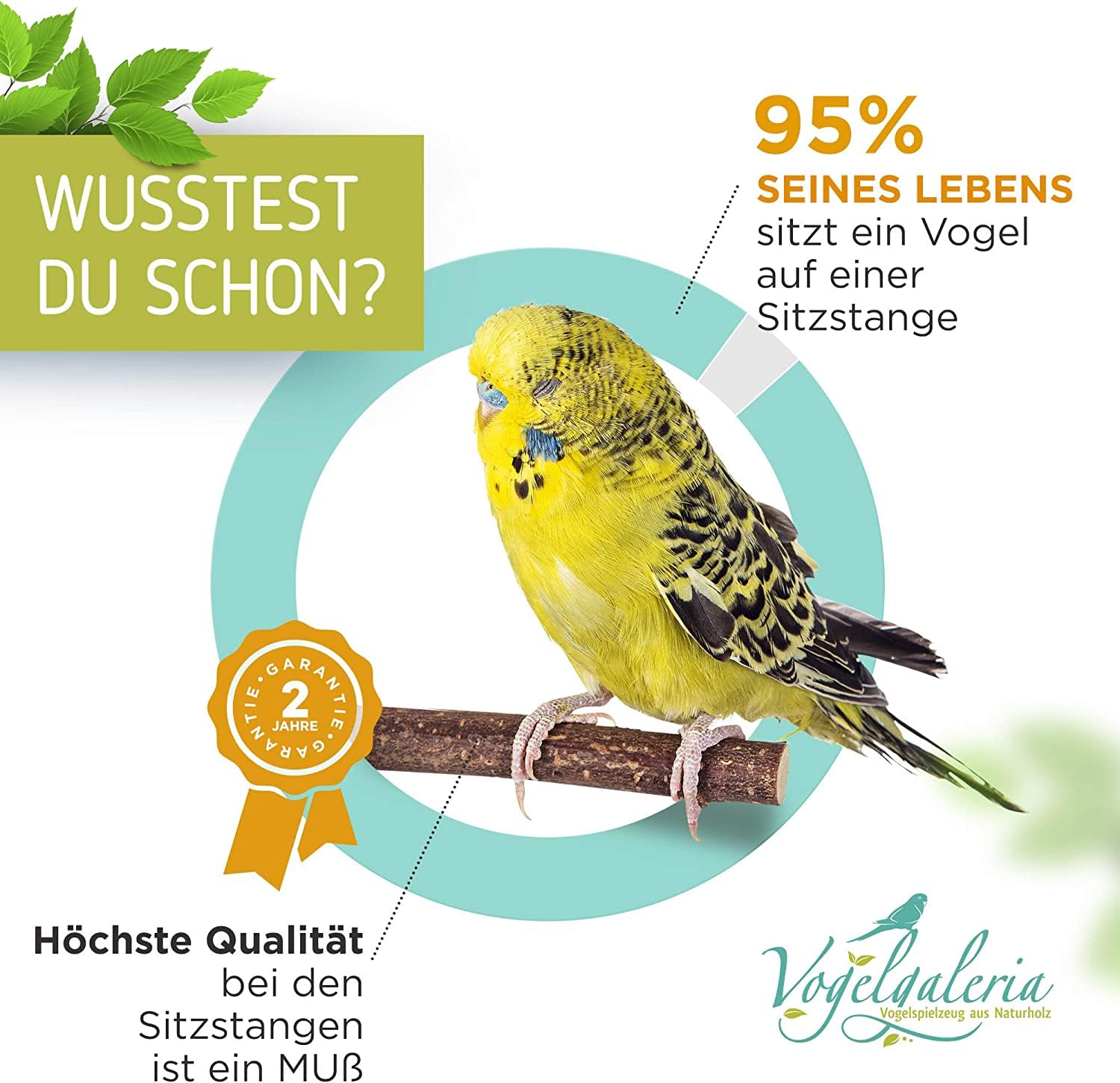 Vogelgaleria® Bird Perch Sampler Set including at Least 5 Different Perches 100% Natural Products for Sitting Resting - Image 2