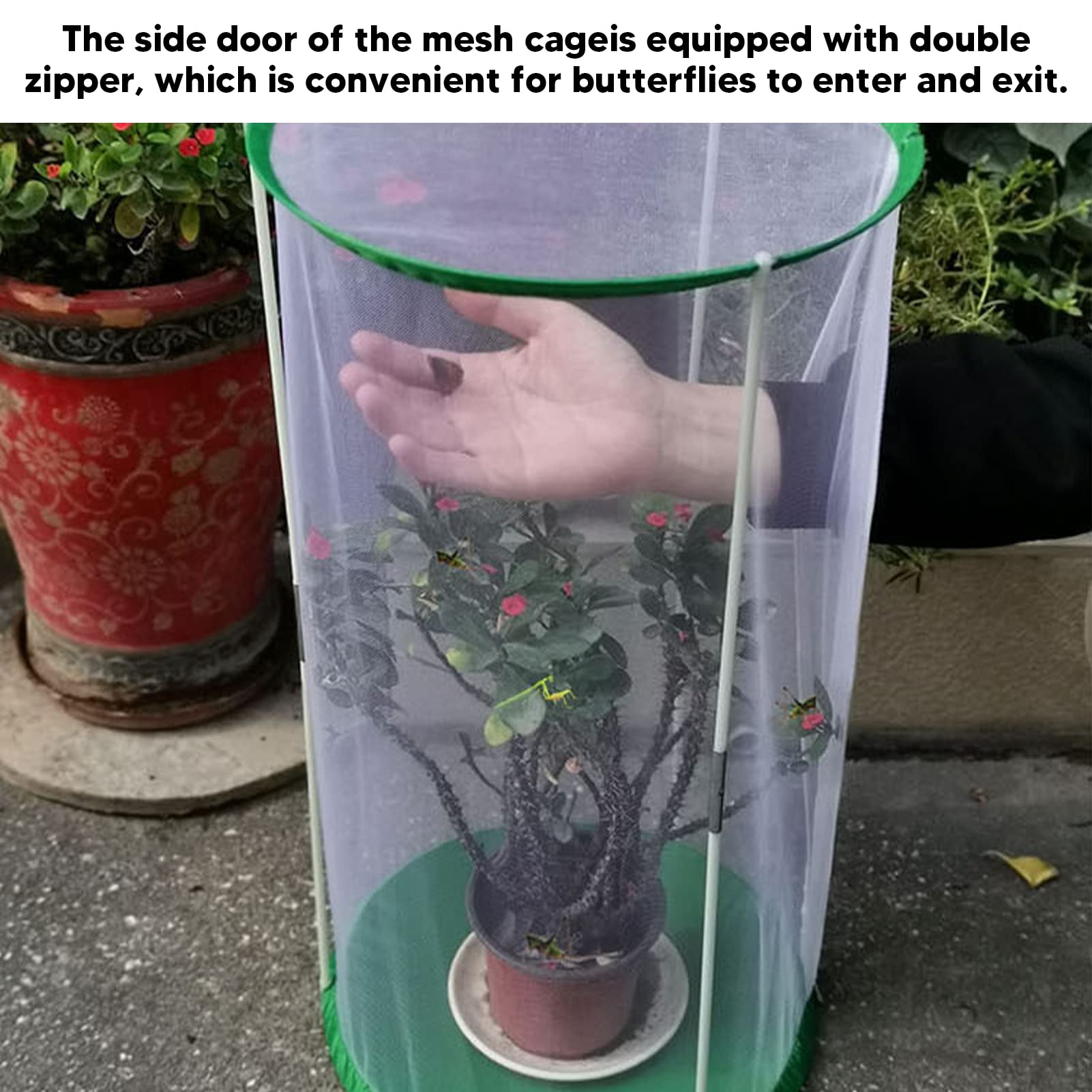 Cage d'observation transparente pour papillons et insectes, maille cylindrique