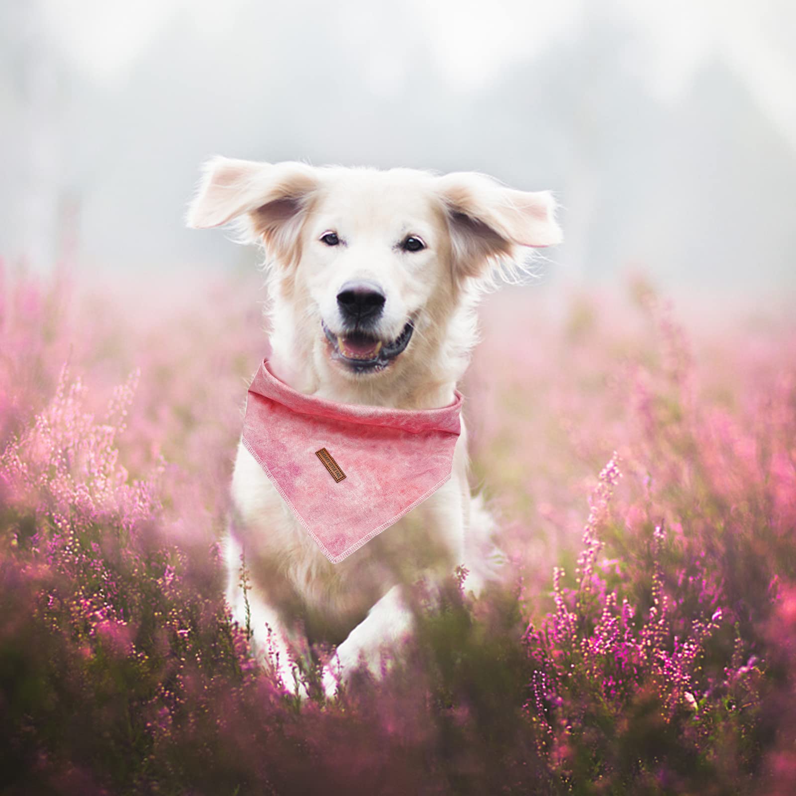 Elegant Little Tail Hunde-Bandana – 1 Stück, Waschbar, Bunt, Verstellbar, Für Mittelgroße/große Hunde