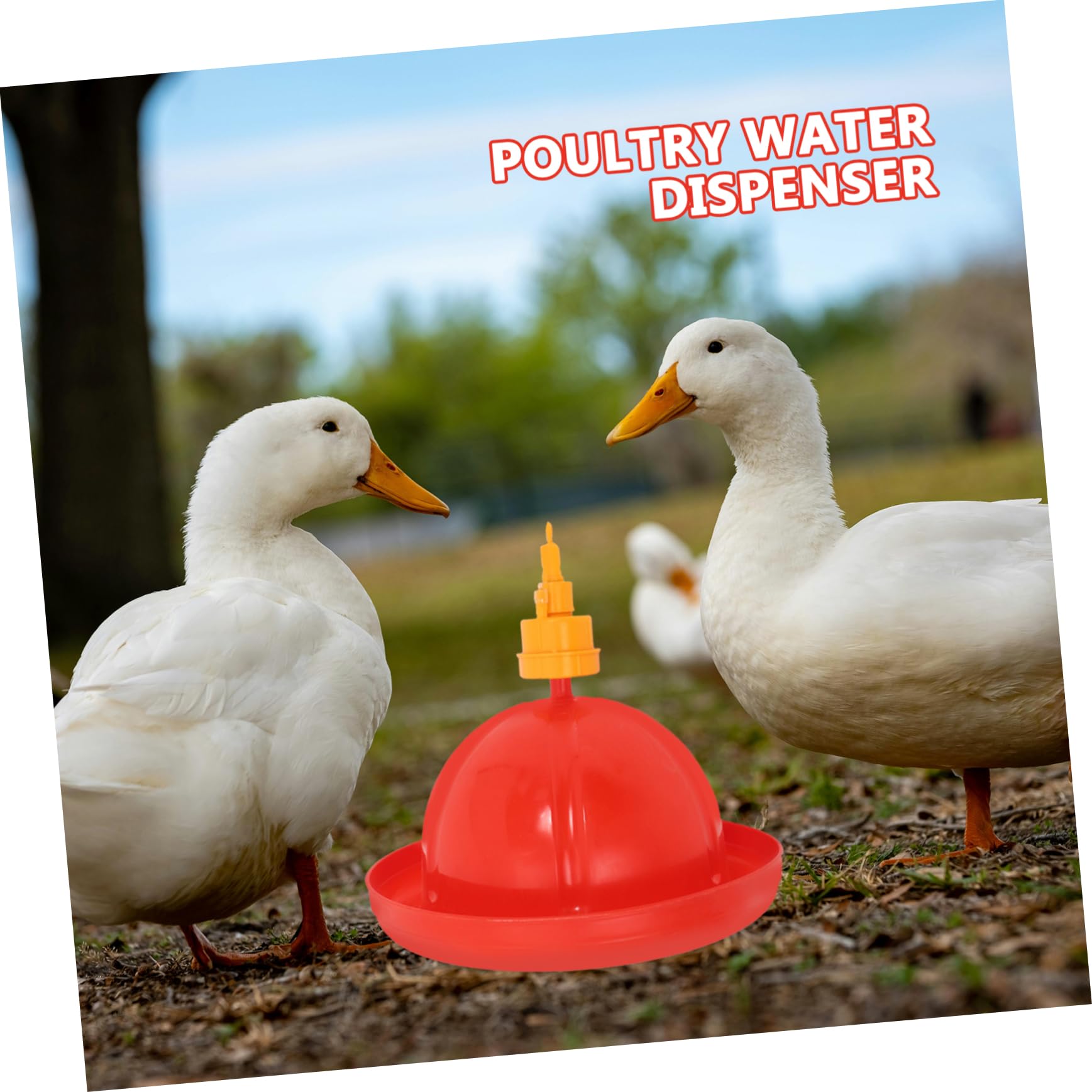 TOYANDONA Kit Automático de Bebederos y Comederos para Pollos y Gansos Agua Contenedor de Integrado y Fácil Instalación para Avicultura