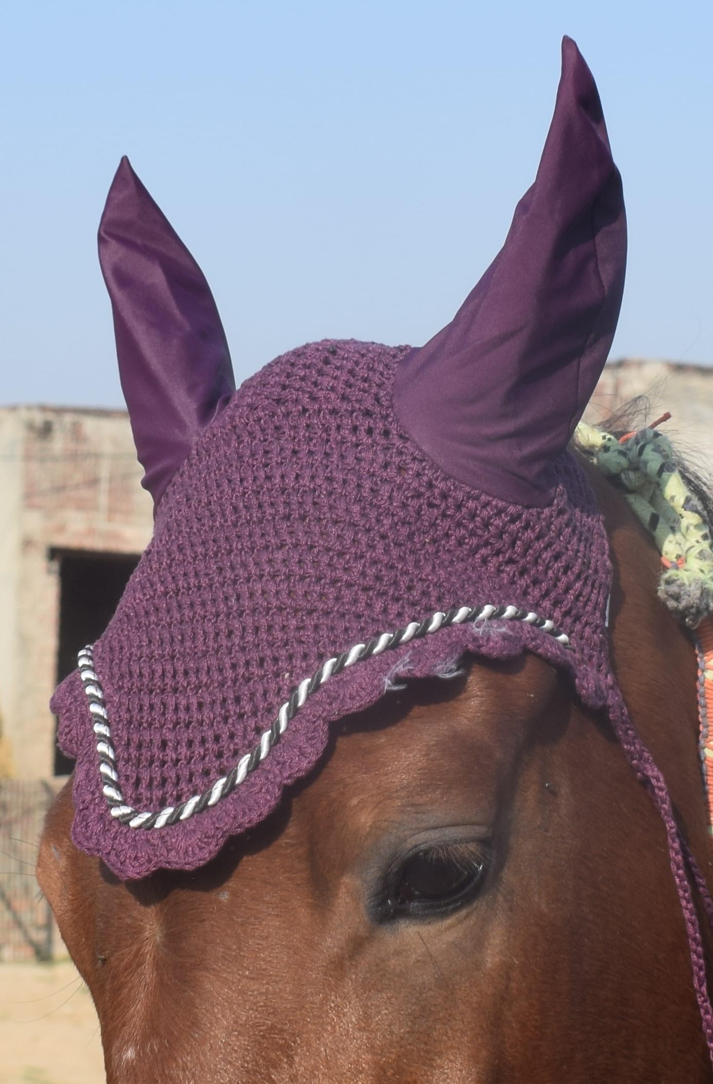 ZAINEE HORSE FLY VEIL EAR BONNET NET BREATHABLE COTTON HAT EQUESTRIAN (Pony, Berry) — view 8