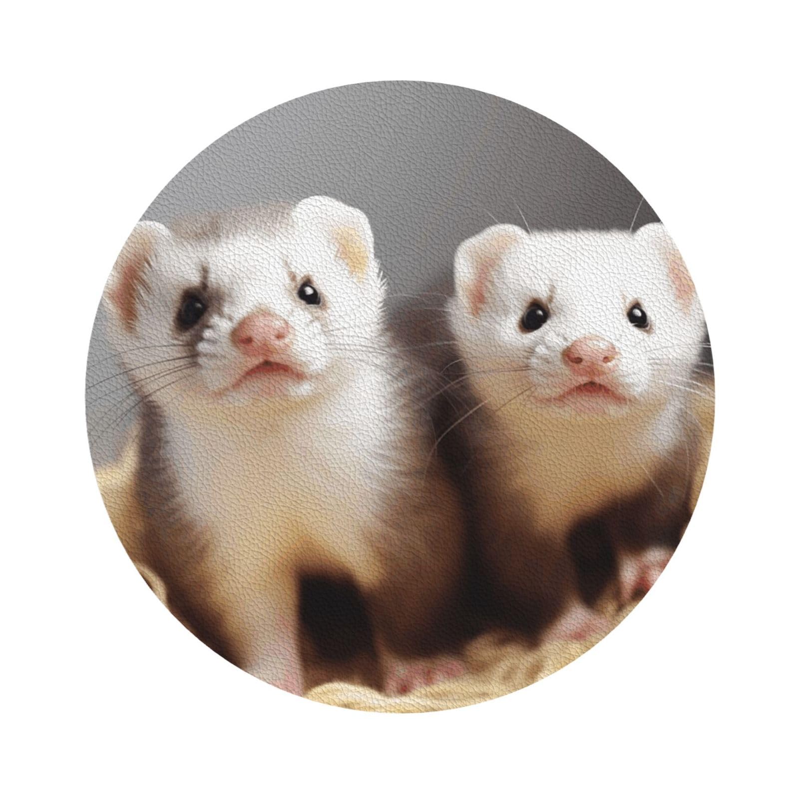 Fodpand Round Shape Ferrets Drink Coasters Set Of 4, Heat Resistant Leather Coasters Fuuny Bar Beer Beverage Coaster For Drinks, Absorbent Cup Mat For Tabletop Protection, Housewarming Gift