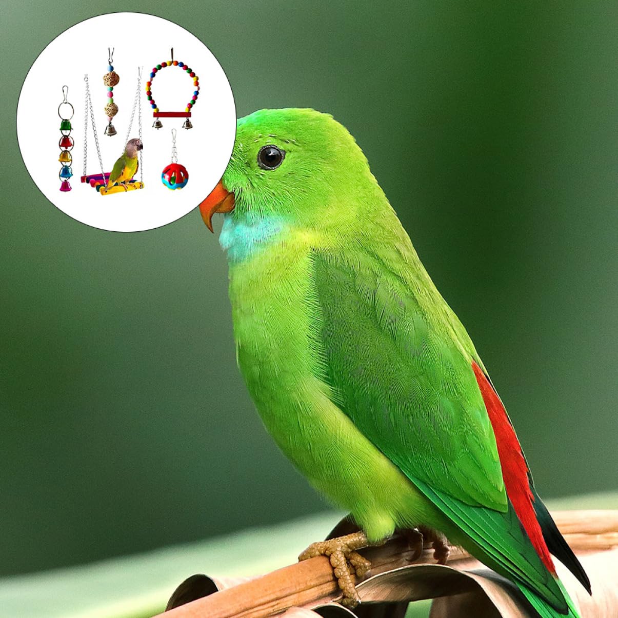 Happyyami 5pièces Jouets à Mordre pour Oiseaux Accessoires Amusants pour Perroquets Jouets à Mastiquer pour Oiseaux Fournitures pour Animaux De Compagnie