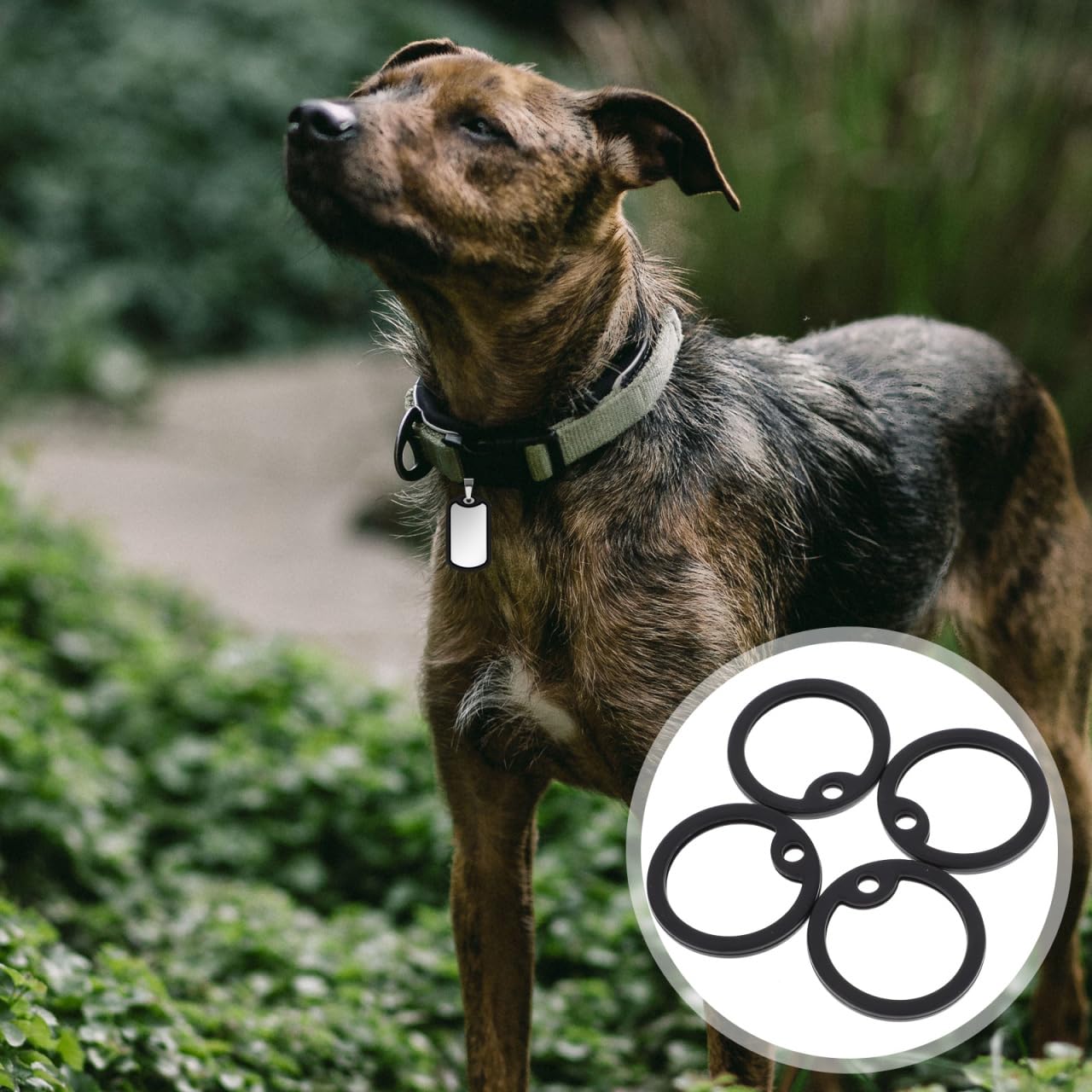 Garneck Lot de 4 étiquettes pour chien en silicone - Noir - Anneau en caoutchouc pour médailles de chien - Protège et atténue les bruits des étiquettes d'identification de chien militaire