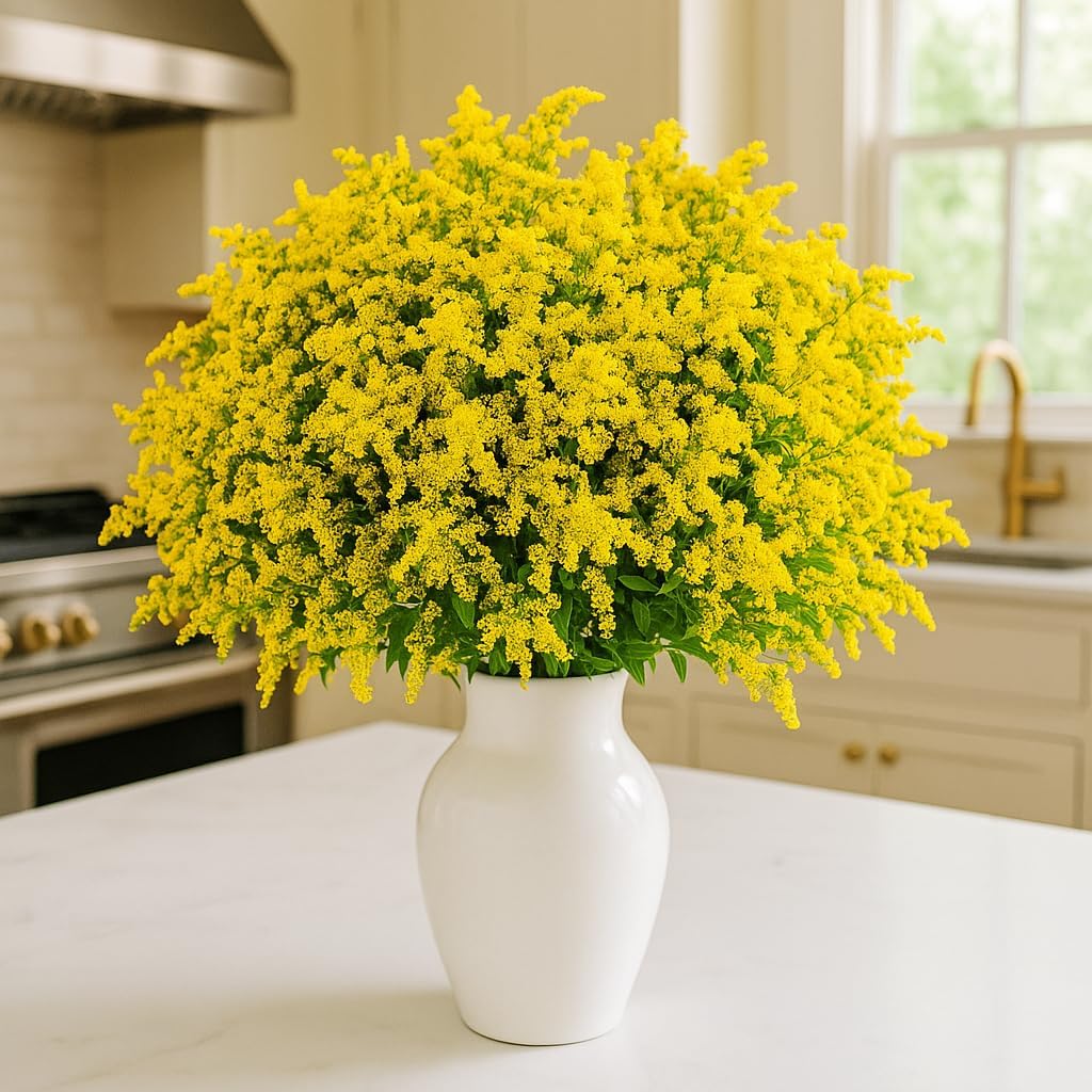 GlobalRose 60 Stems of Fresh Cut Aster Solidago Fillers - Fresh Flowers Fillers Perfect for Wedding