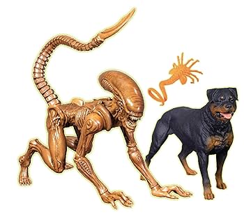 フィストエイリアン ラマジャマ フィストエイリアン ラマジャマ エイリアン】全ラムのまとめ