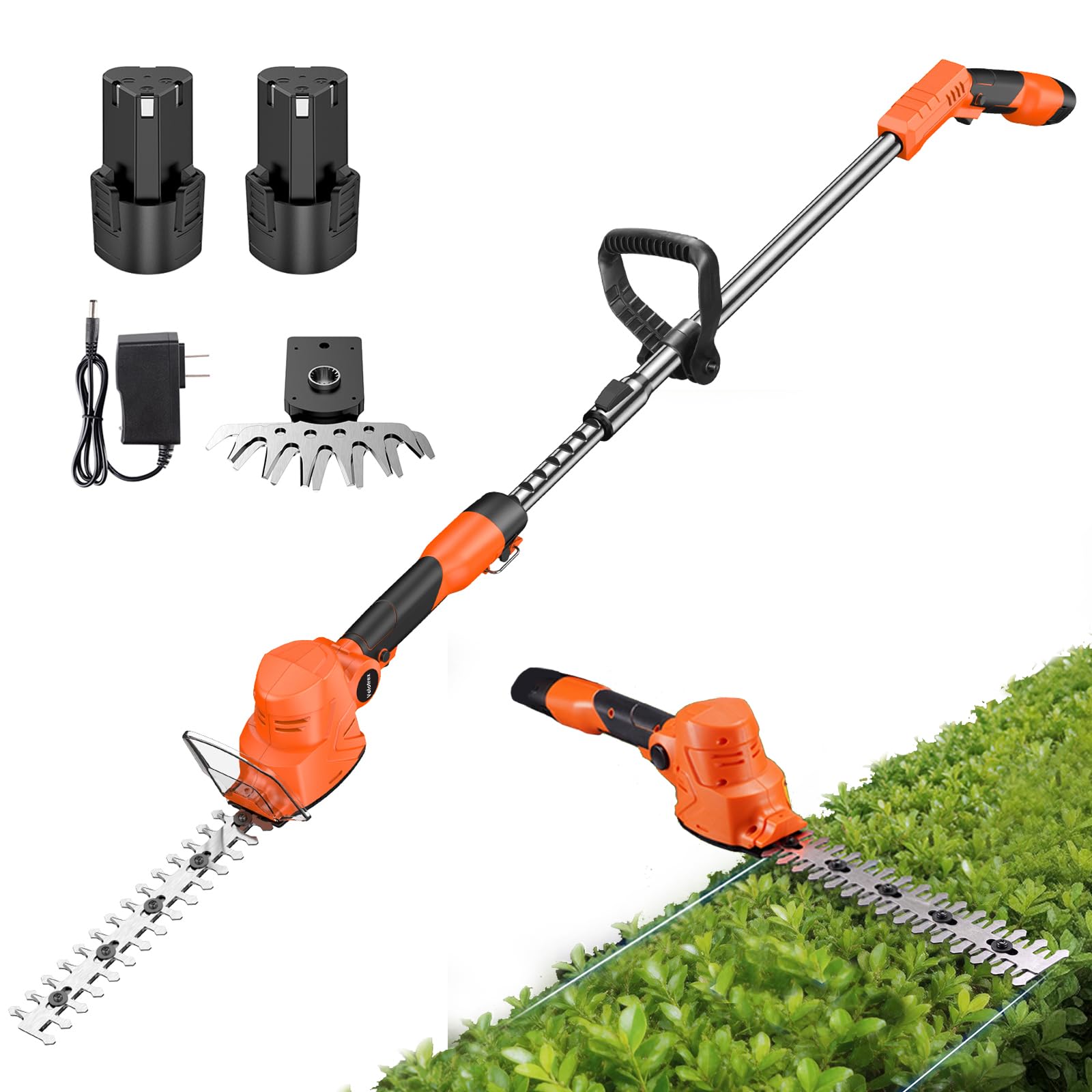 Taille-haie sans fil 12 V pour entretenir facilement les arbustes du jardin