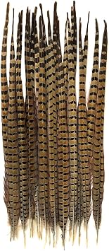American Feathers Extra Long Ringneck Pheasant Tail Feathers 20-24" per 10