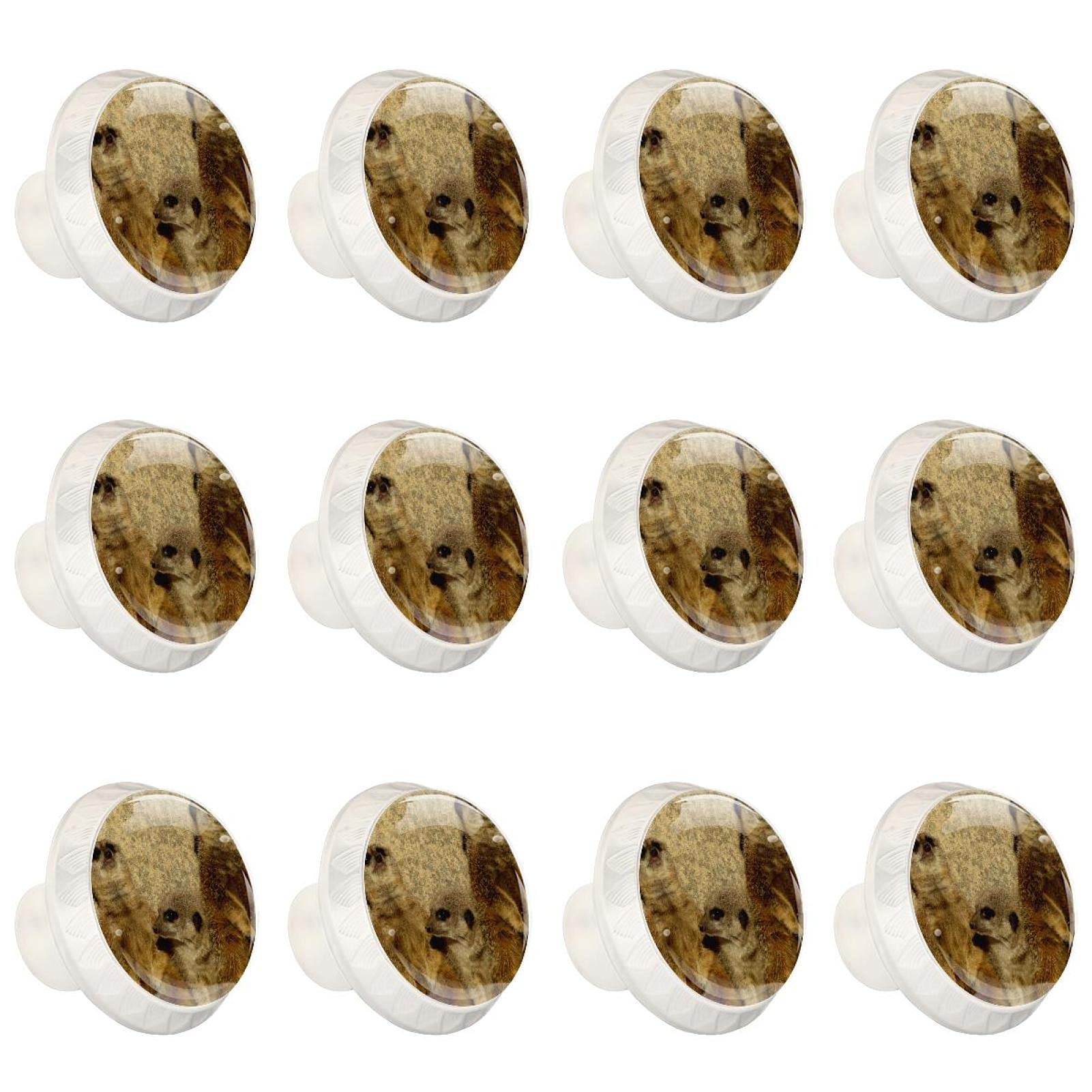 Boutons de meubles empreinte de patte d'animal rondes poignées de tiroir de 1,37 pouces