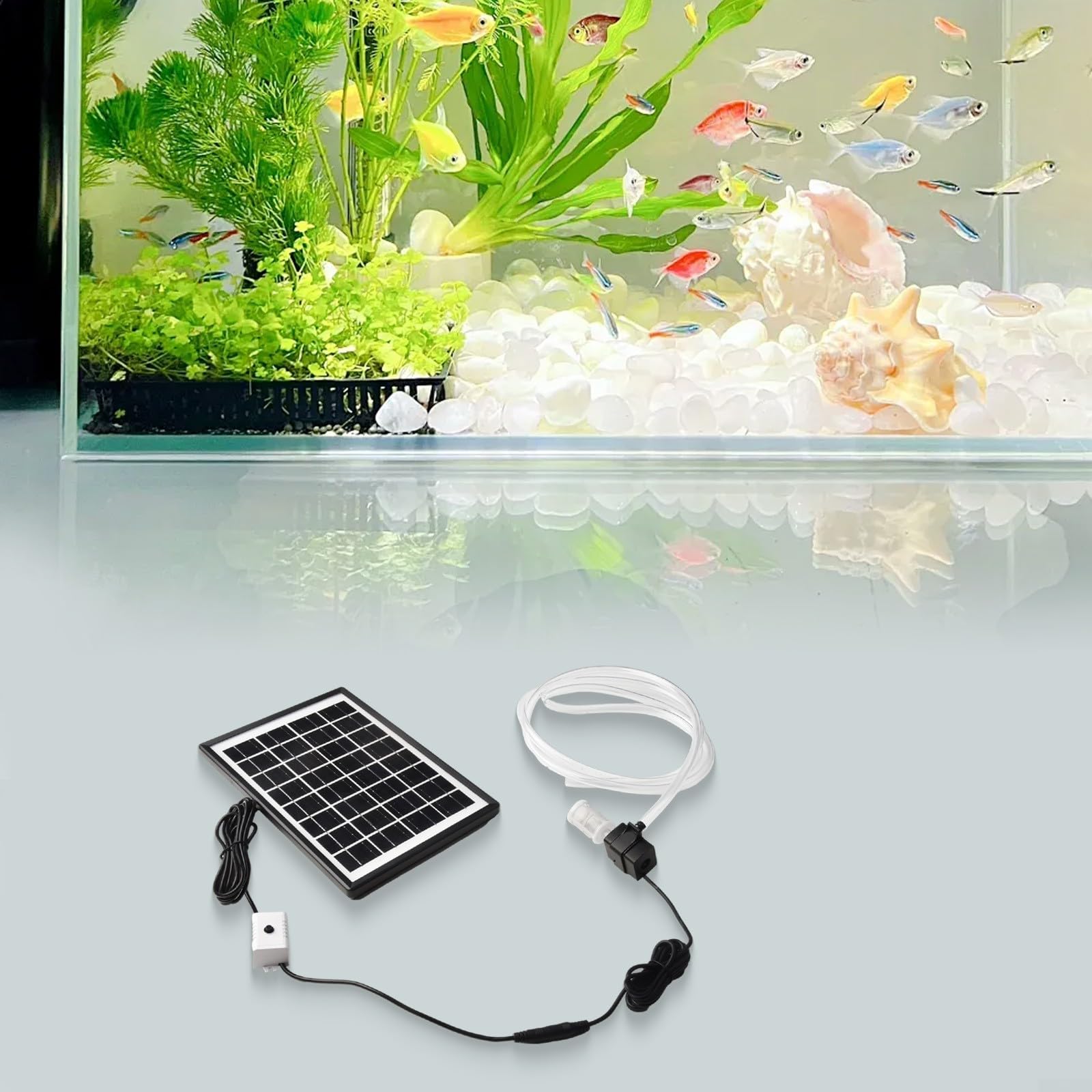 HpLive - Bomba de agua solar (6 W, 9 V, panel solar, 12 V, bomba sumergible, caudal 240 L/h, para acuario, estanque, fuente, con manguera de 2 m y filtro