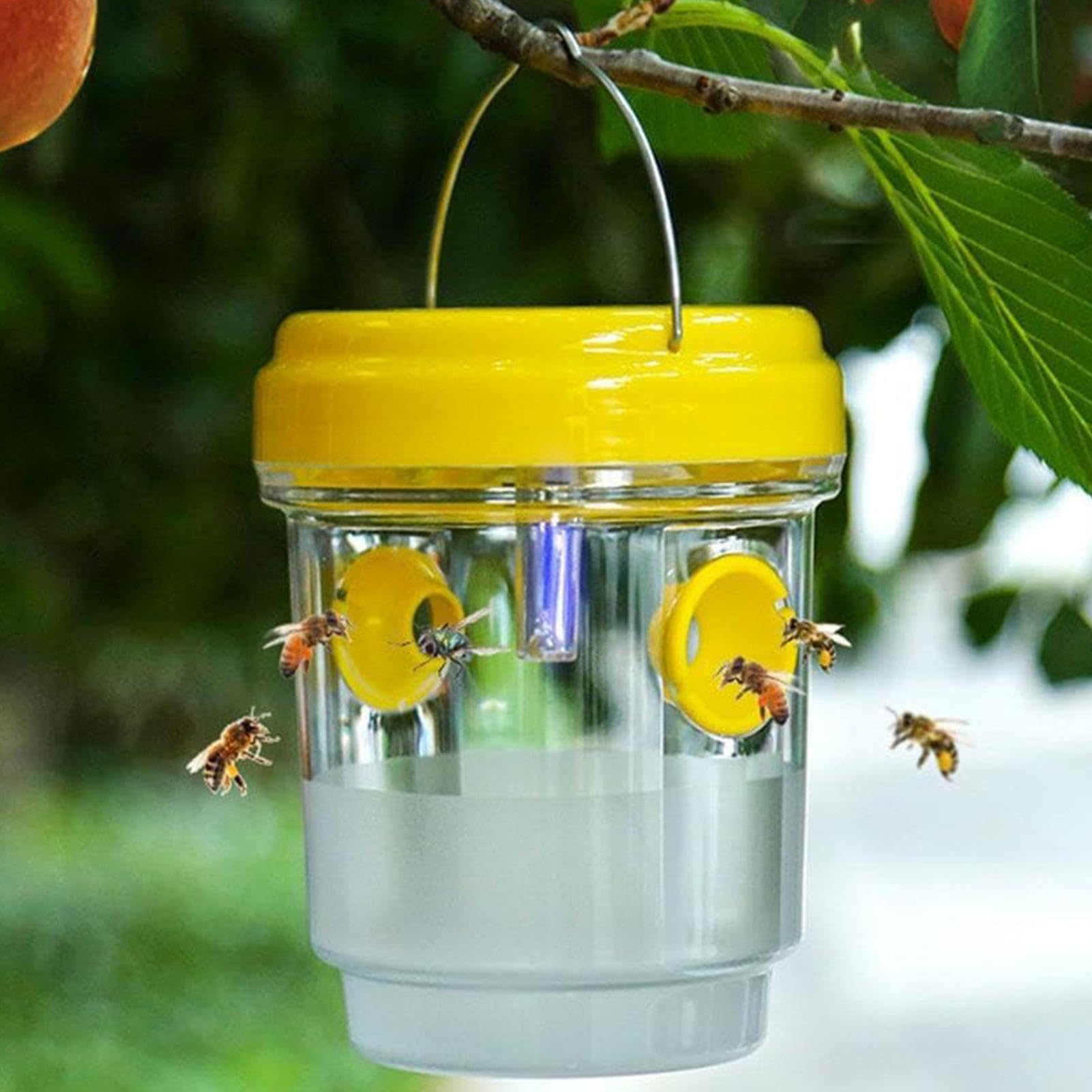 Amazon | ソーラー トラップ トラップ 屋外 再利用可能 スズメバチ