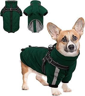 CITÉTOILE Warm Dog Jacket with Harness, Windproof Dog Coat for Cold Weather, Dog Clothing with Zips and Loose Cuffs for Dogs, Green, XS product image