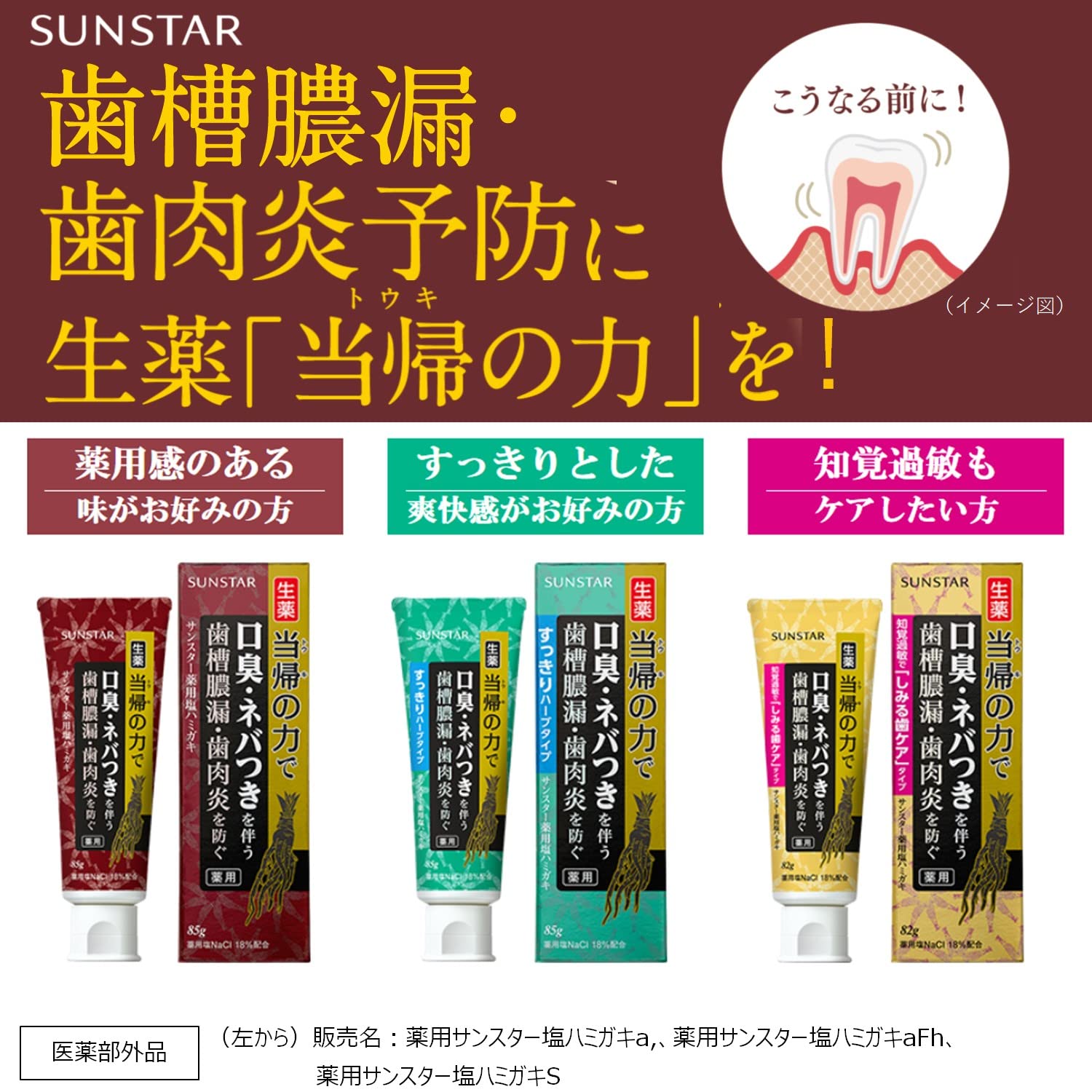 Amazon | サンスター 【医薬部外品】 薬用塩ハミガキ 当帰の力