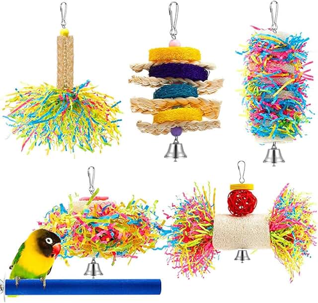 Amazon.co.uk birds toys