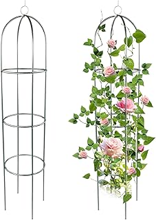 10 Round Trellis Ideas for Soft Garden Shapes and Climbing Plants 71 2 Pack Garden Obelisk Trellis for Climbing Plants Outdoor Tall Round Tre...