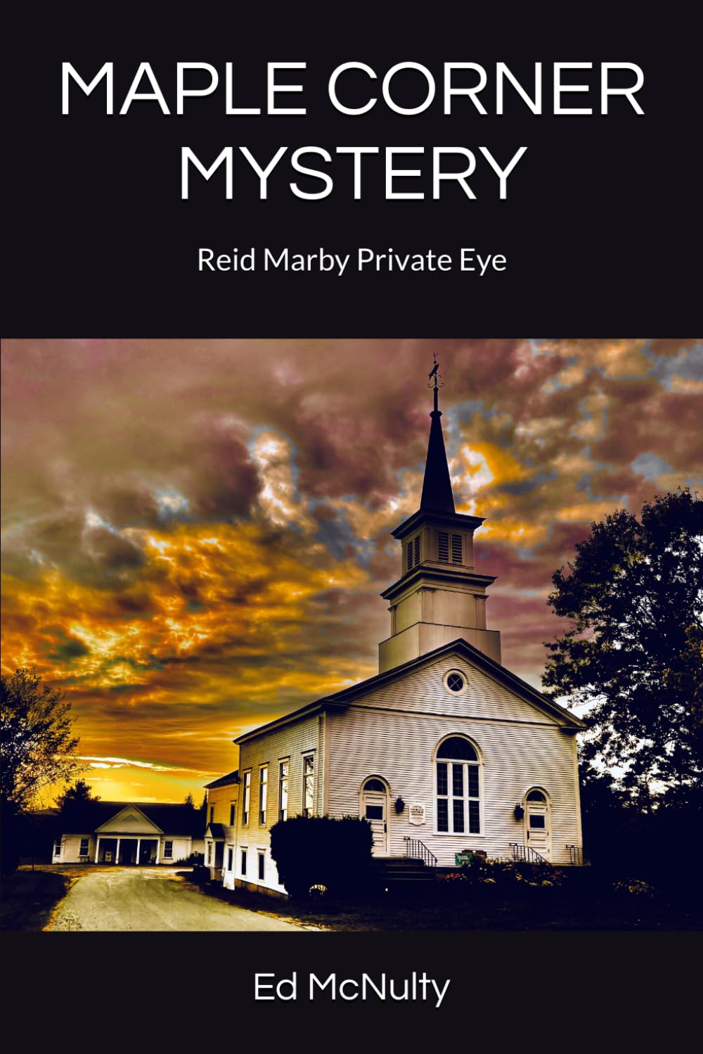 MAPLE CORNER MYSTERY: Reid Marby Private Eye