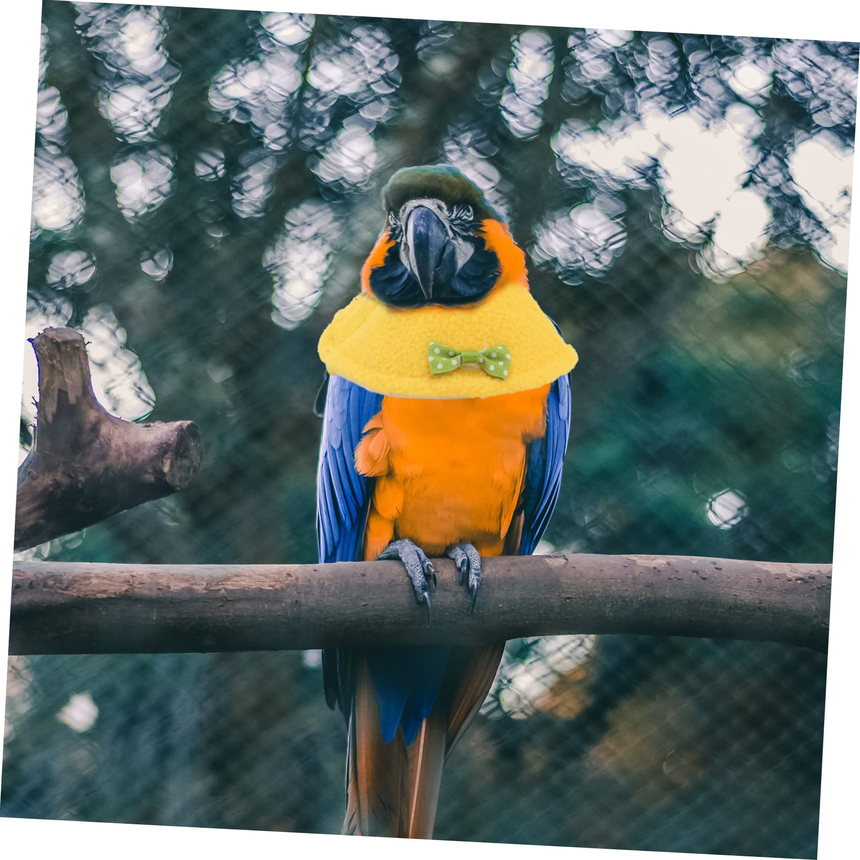 Collare Morbido Per Pappagalli - Accessorio Anti-morso Traspirante E Comfortevole - Foto 9