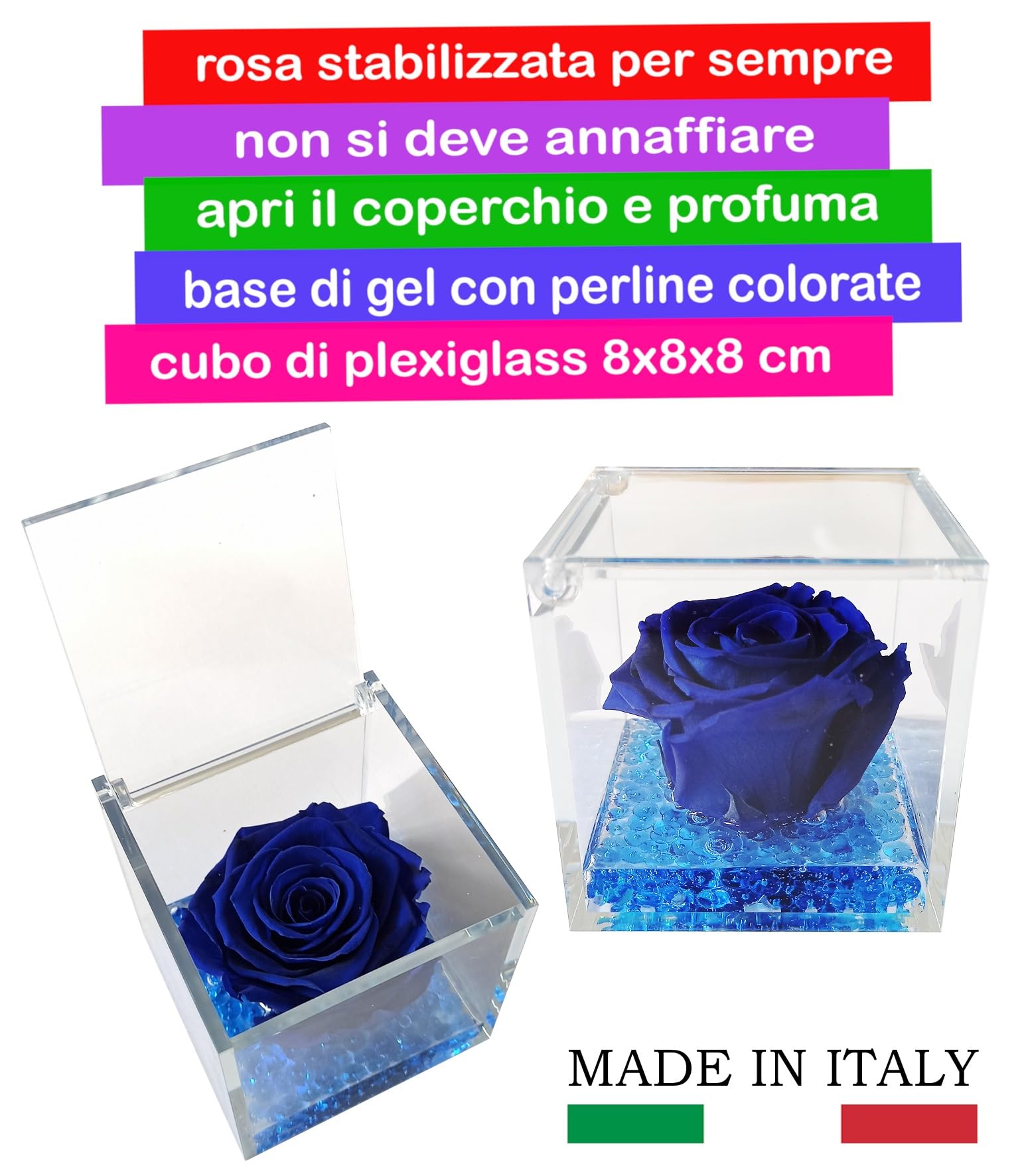 Texo di Claudio Rosso rosa vera blu, regalo donna anniversario festa pensiero mamma cerimonia dono, dura per sempre, stabilizzata e profumata in cubo 8x8x8