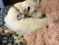 Review Image by Stacy Powers