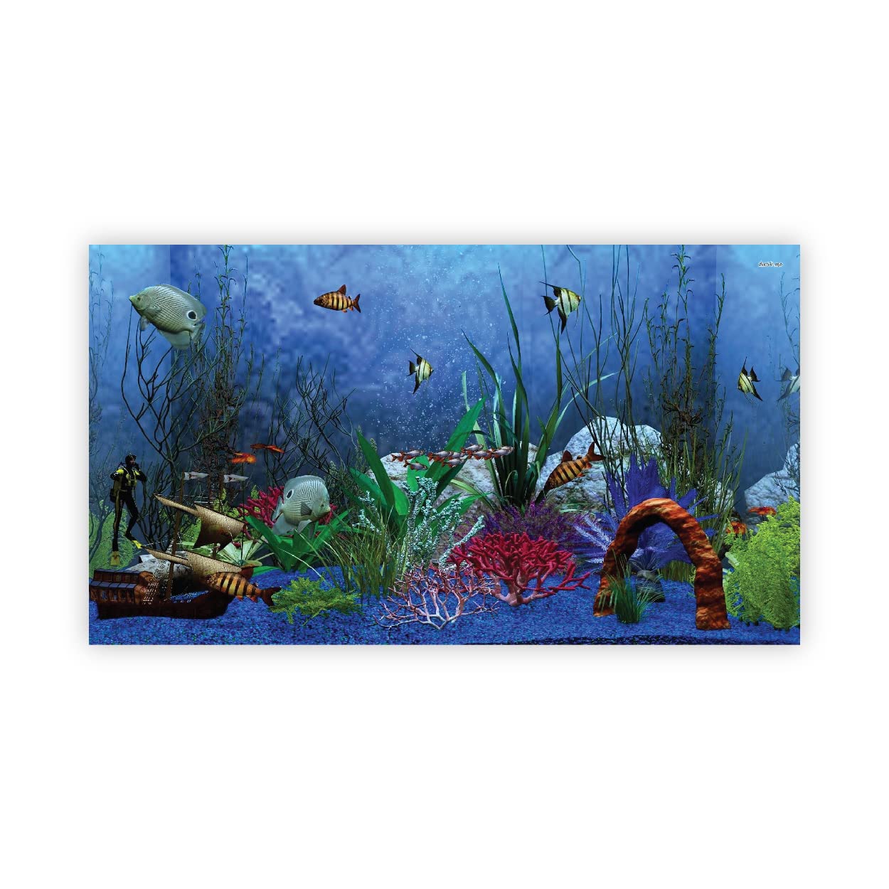VVWV® Cute Fishes Aquirium Background colourfull Stickers for Fish Tank Waterproof Vinyl Printed Sticker Multicolored (76 X 30 CMS) (B0BW4BCCY3) Amazon Price History, Amazon Price Tracker