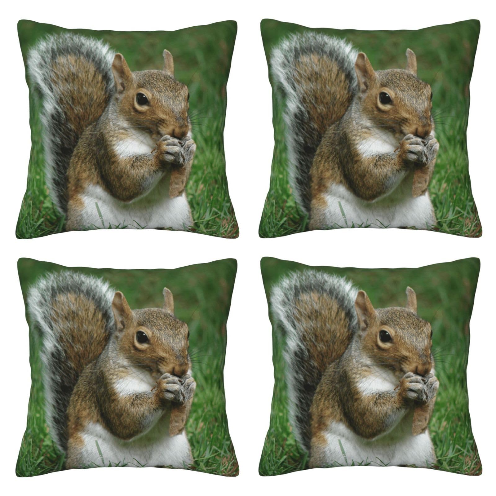 Housse de coussin écureuil 50x50 cm douce pour décorer votre canapé