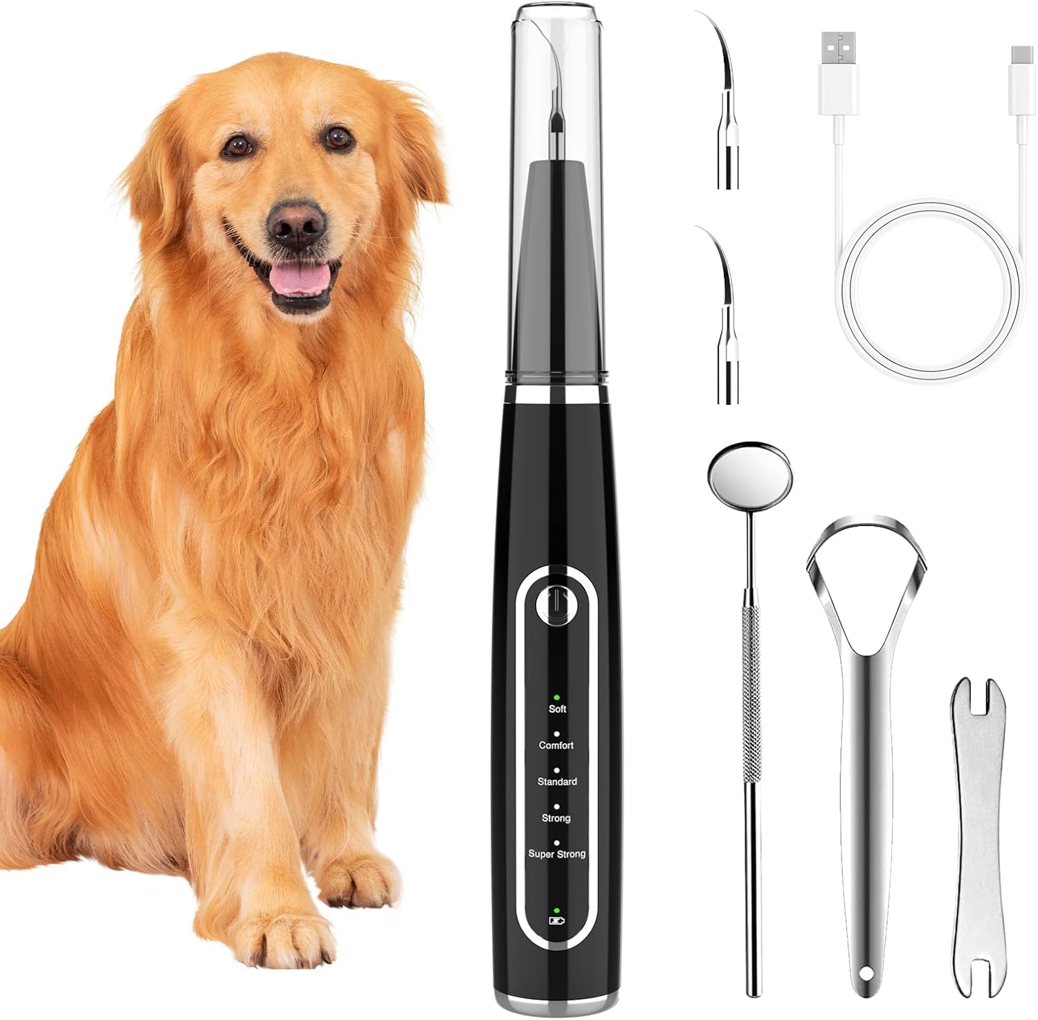iPalamila Zahnsteinentferner Zahnreiniger Ultraschall für Hund und Katze, Zahnpflege Set, Zahnreinigung und Reinigungsset, mit LED-Licht, Hundezahnbürste zur Zahnpflege, Schwarz