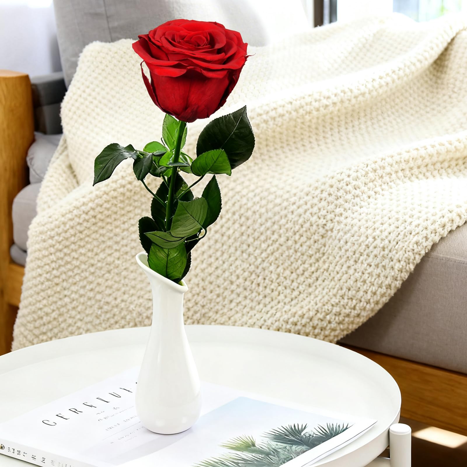 Yamonic Rosa Stabilizzata Regalo Donna, Vera Rosa Eterna con Steli Regalo per Donne Compleanno, Regali Natale San Valentino Festa della Mamma Anniversario Matrimonio Regali Fidanzata Mamma Nonna