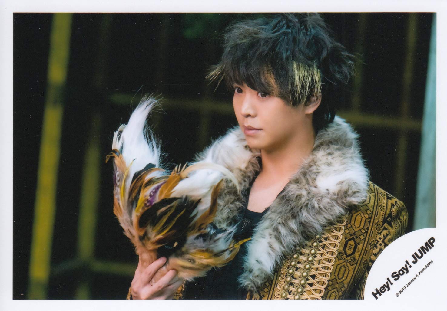 Amazon.co.jp: Hey! Say! JUMP 公式生写真（有岡大貴）HAL00338 : 家電