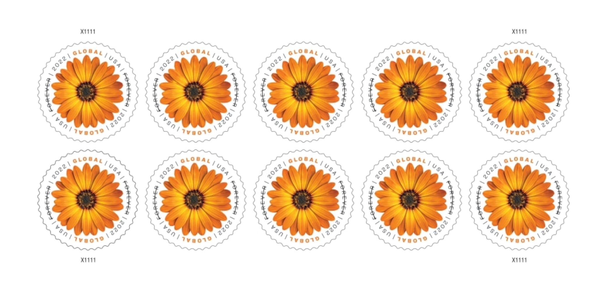 USPS African Daisy 2022 International Mail Global Postage Forever Briefmarken Scott #5680 (Blatt mit 10 Stück)